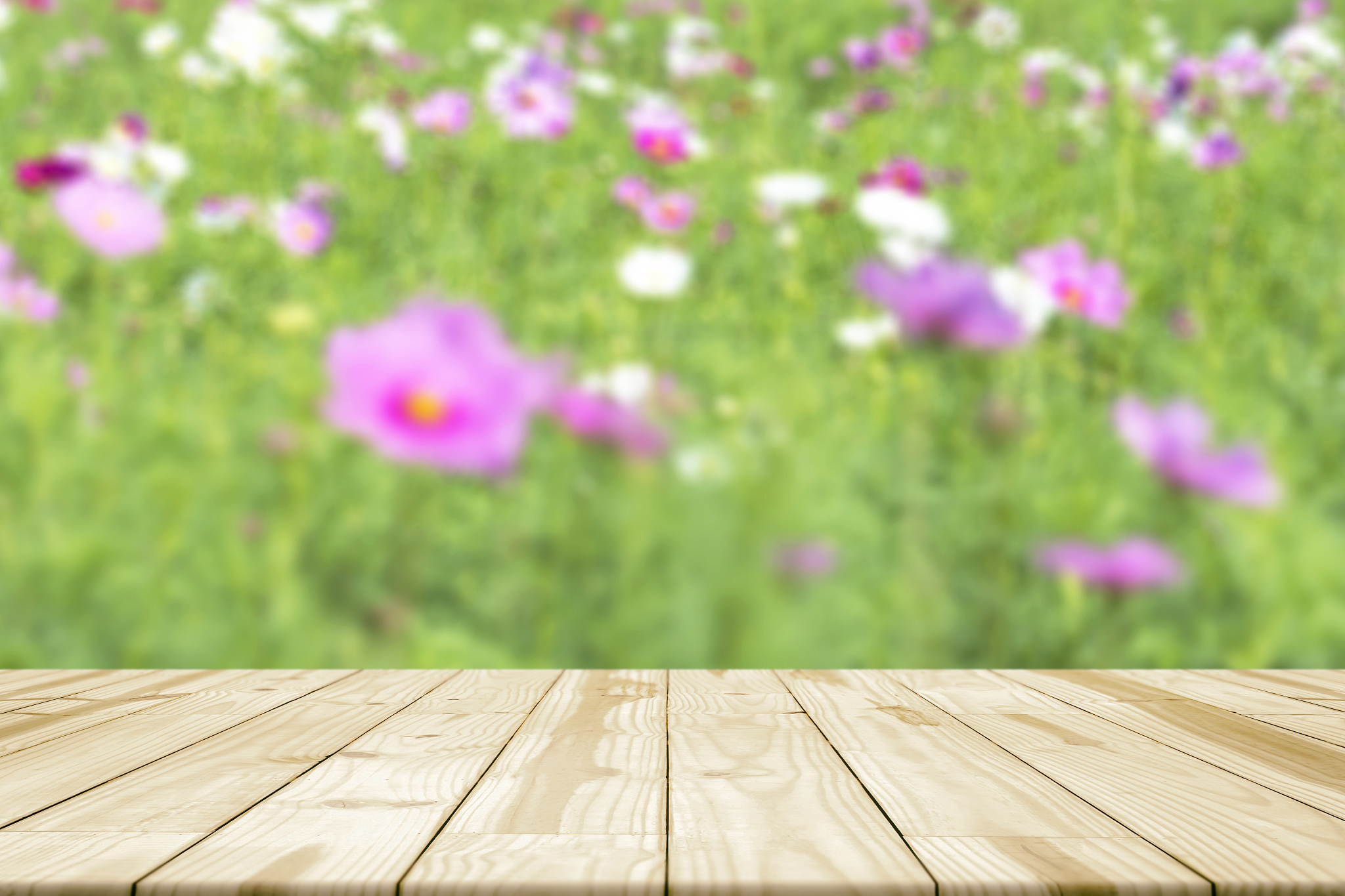 衡水职业技术学院园林工程技术专业好不好发展前景怎样