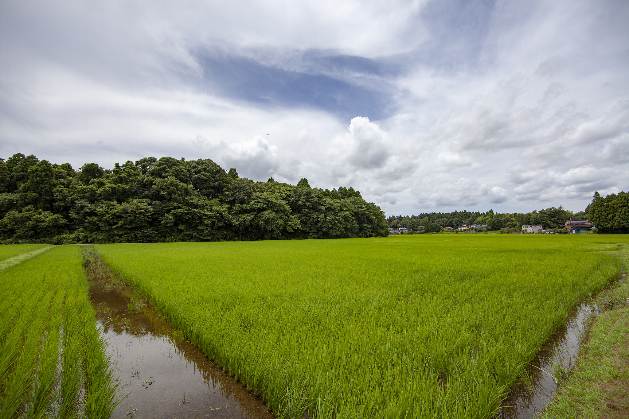 曲靖农业中等职业学校2019年五年制招生专业设置