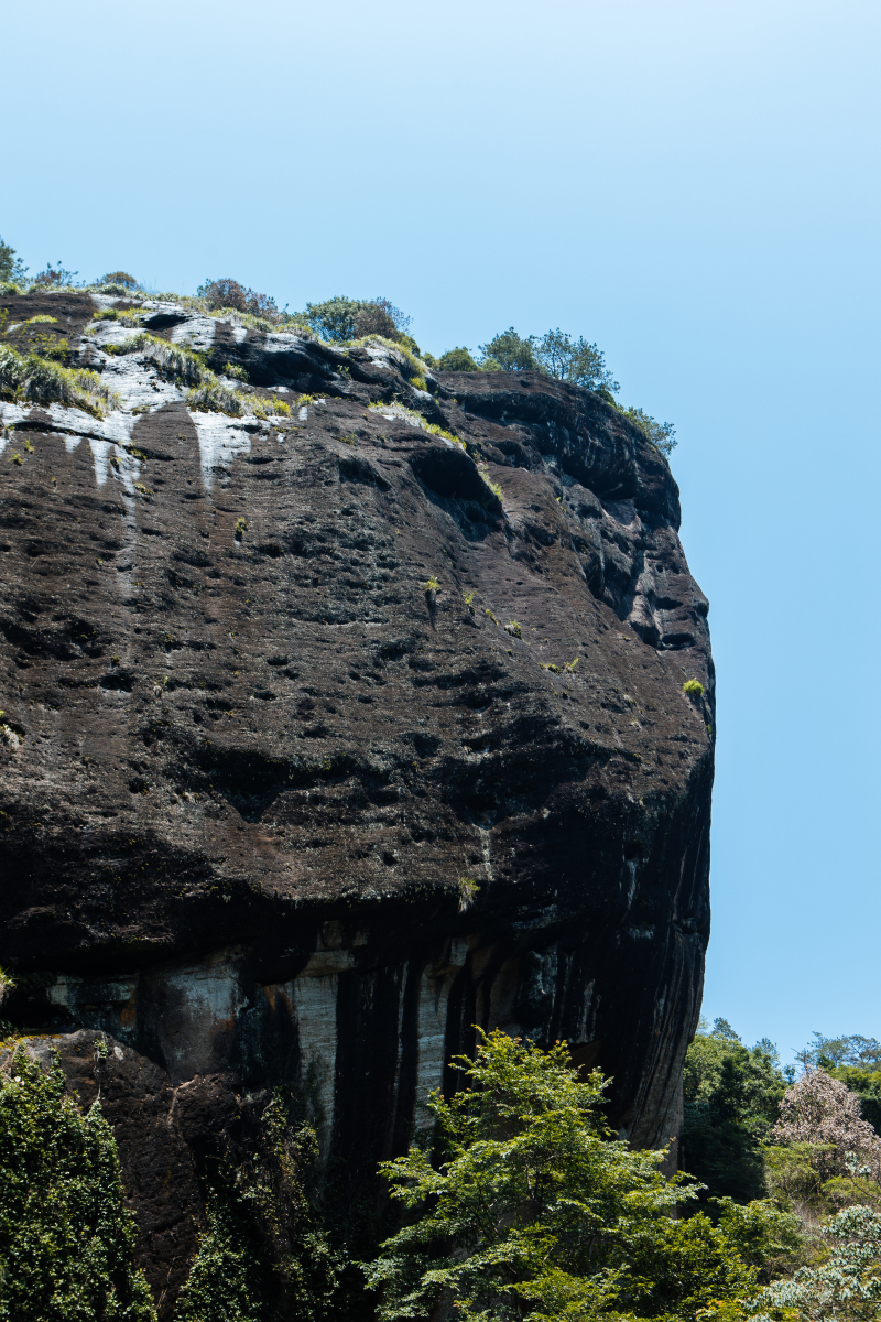 武夷山旅游攻略自由行:碧水丹山,茶文化的深度体验