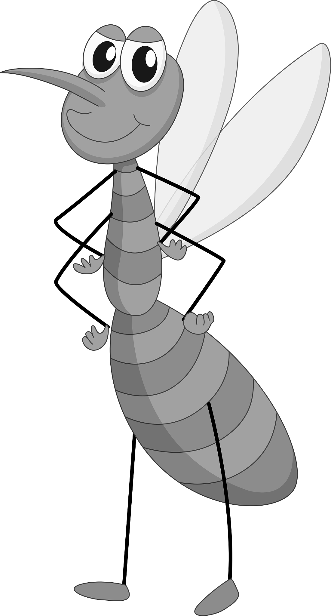 斯嘉丽的爱情观与婚姻观的矛盾与联系