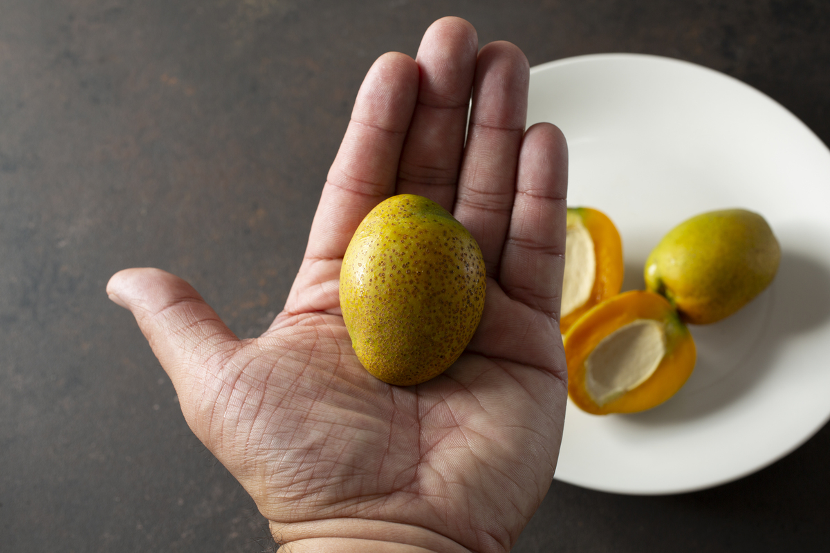 橘子掉色怎么整改措施 用250字帮我描述