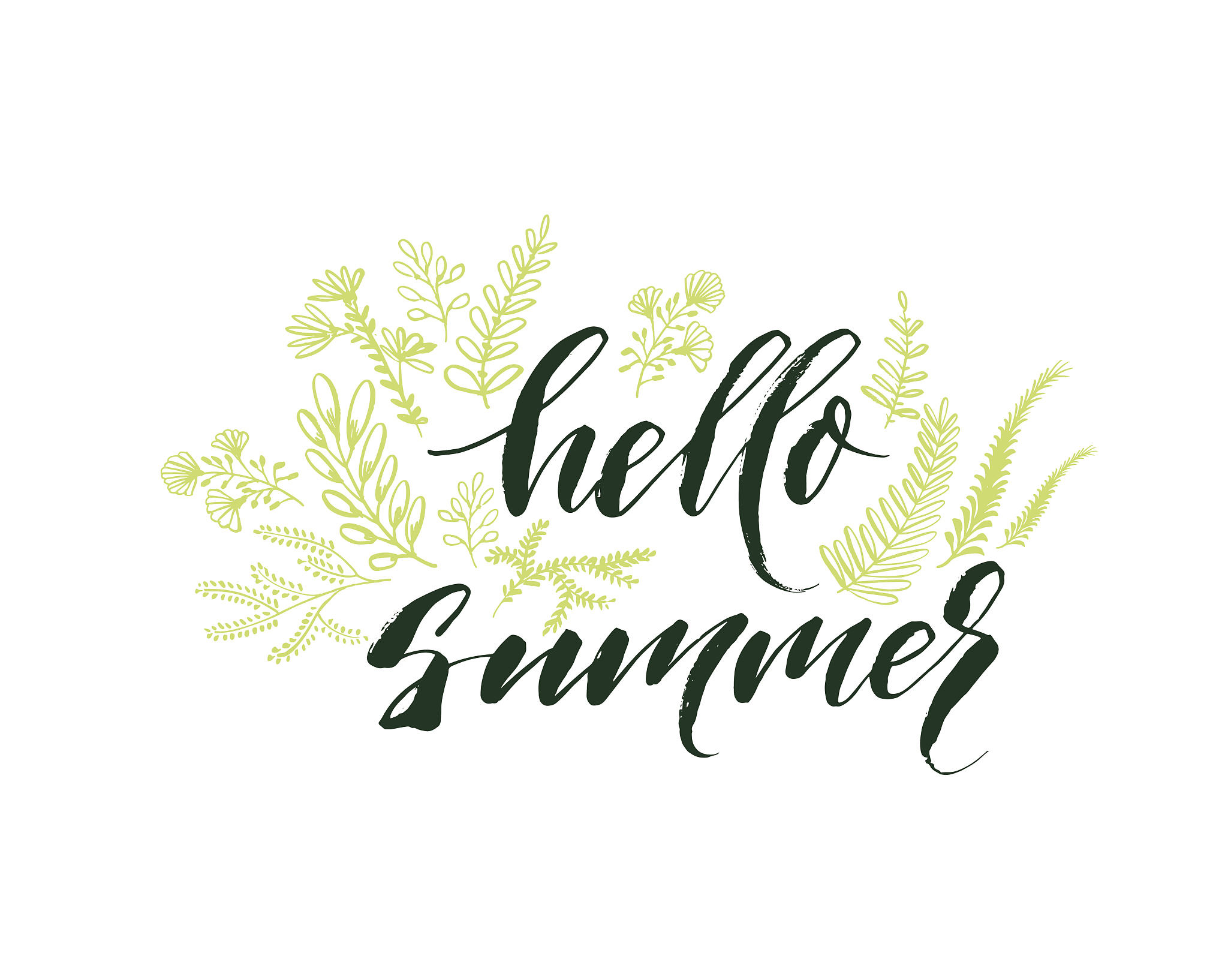 hello summer card.