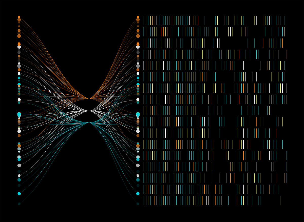 音频降噪模型比较：哪种效果更好？