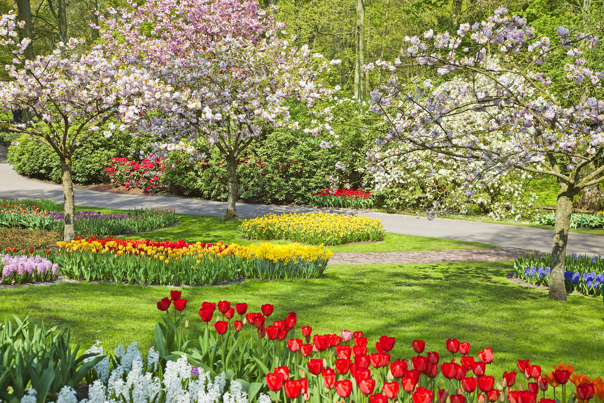 欣赏是美丽的享受：漫步春日花园