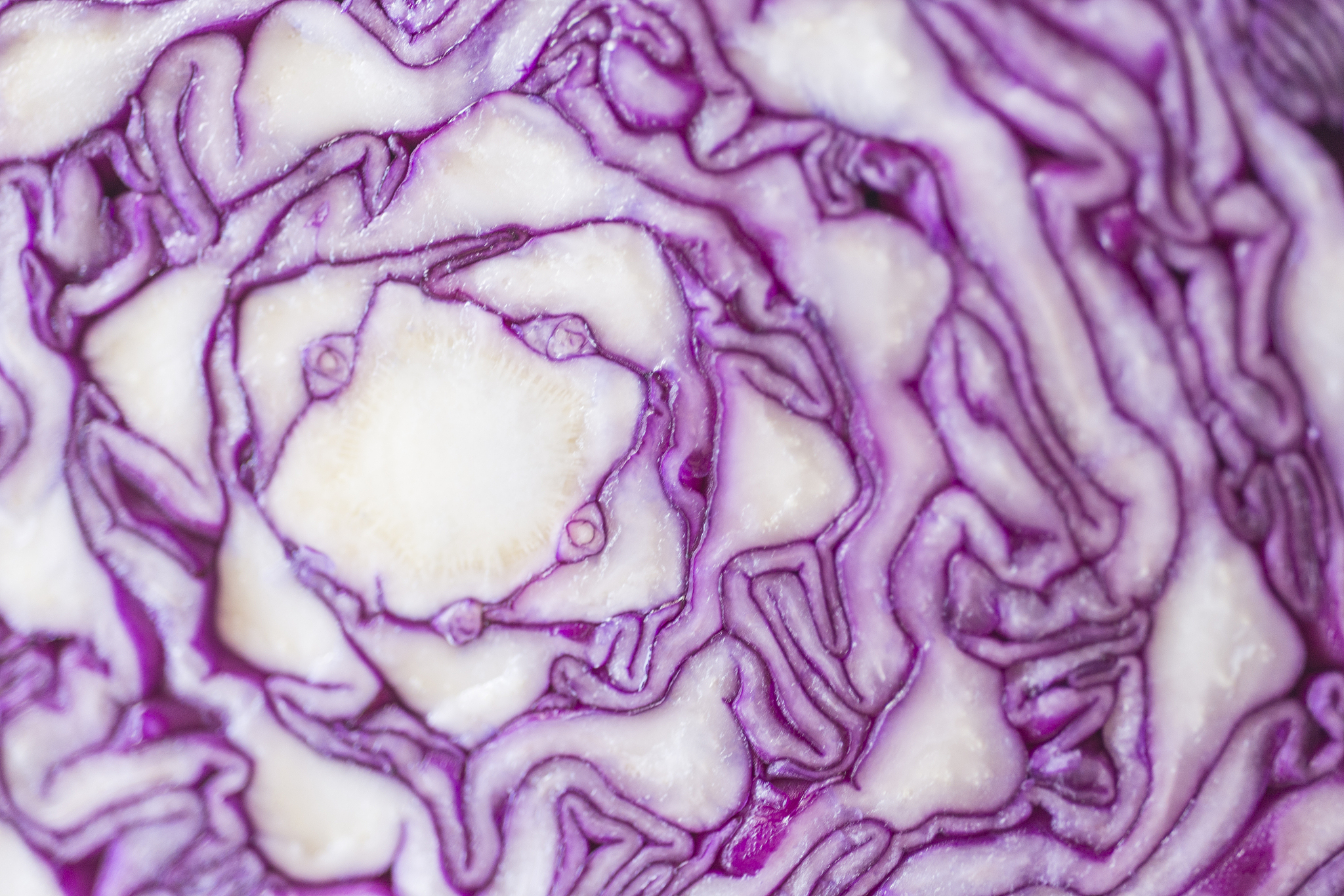 成都幼儿师范学校教学质量怎么样？