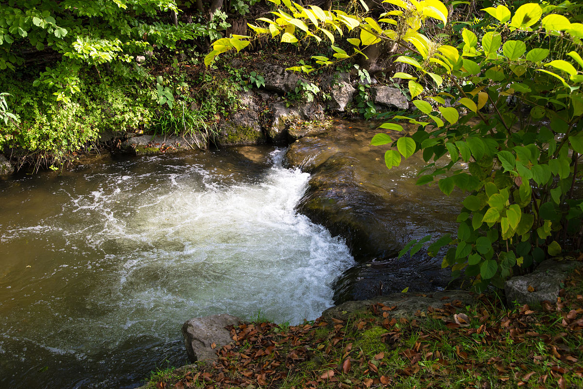 为什么小溪流很急？| 解读小溪急流的成因
