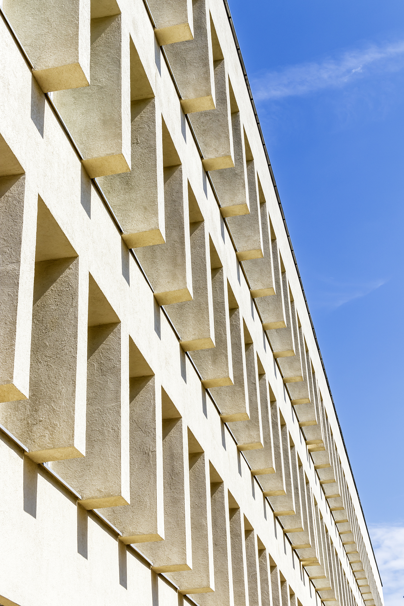 文明6彼得大帝攻略：领袖能力解析与玩法技巧