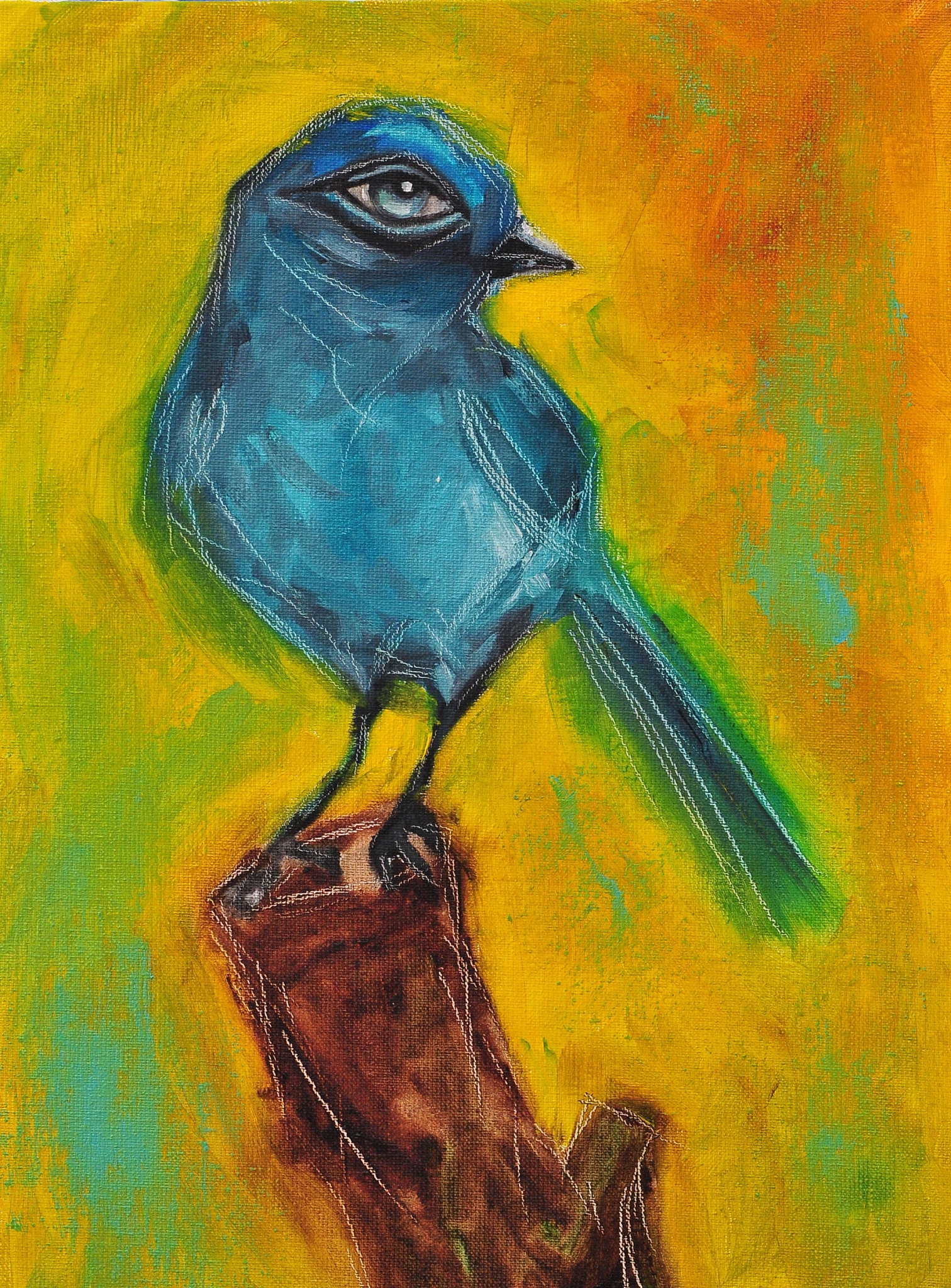 亳州师范高等专科学校美术教育专业怎么样？值得报考吗？