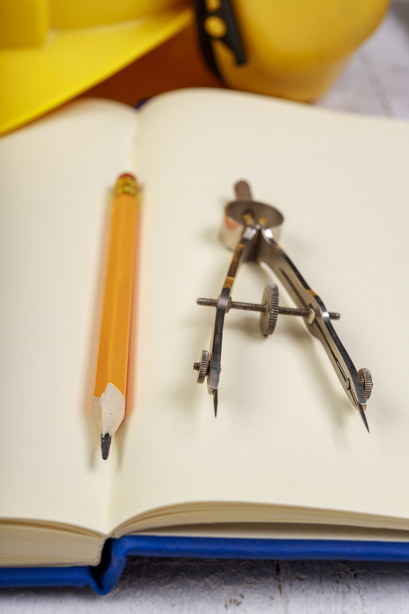 山东商务职业学院环境艺术设计专业好就业吗