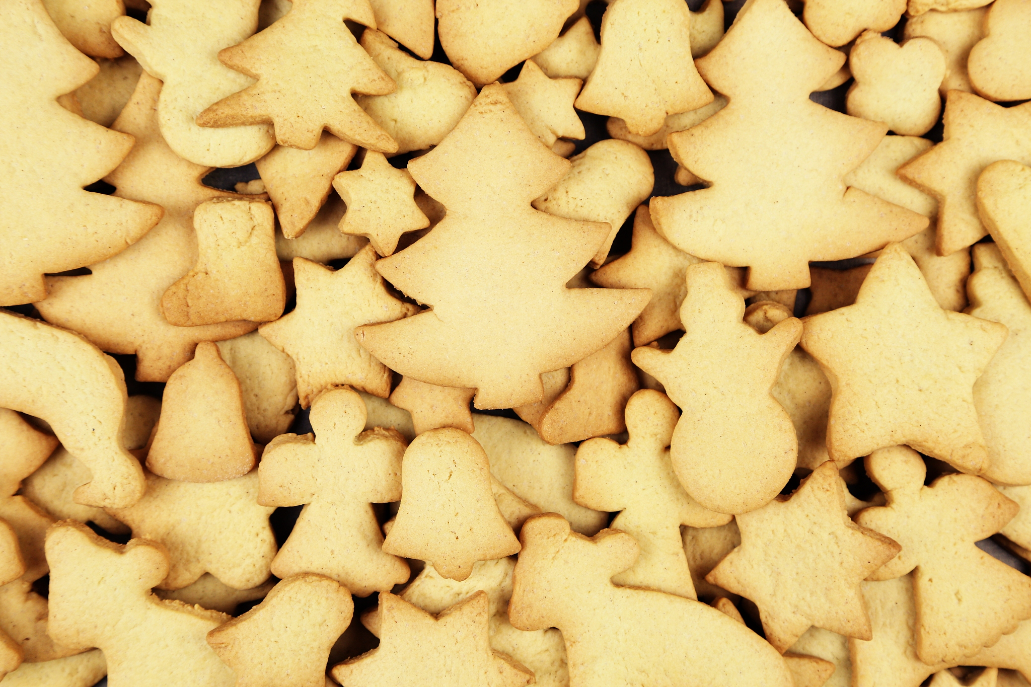 贵州医科大学中药学专业就业方向