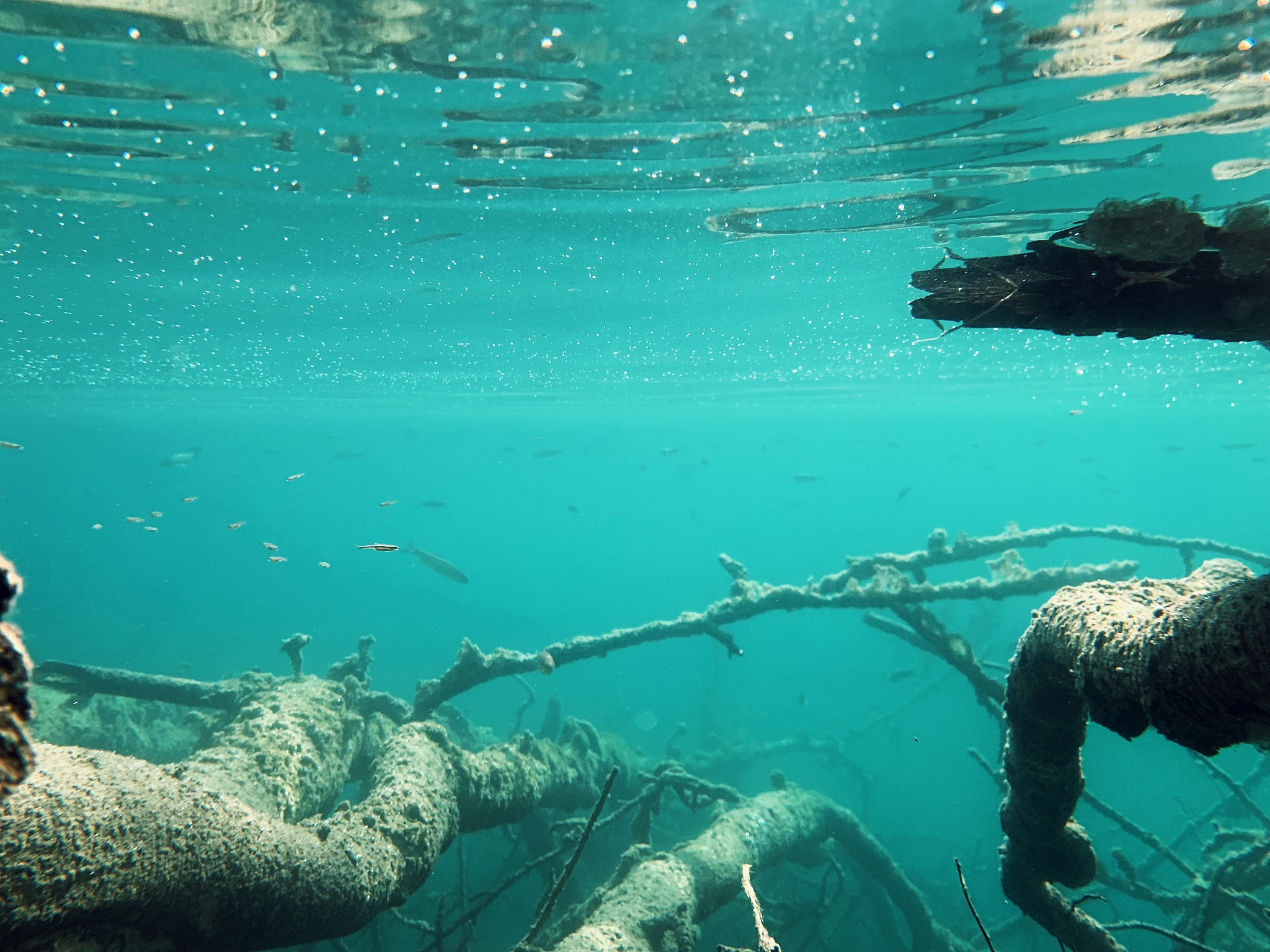 underwater photography