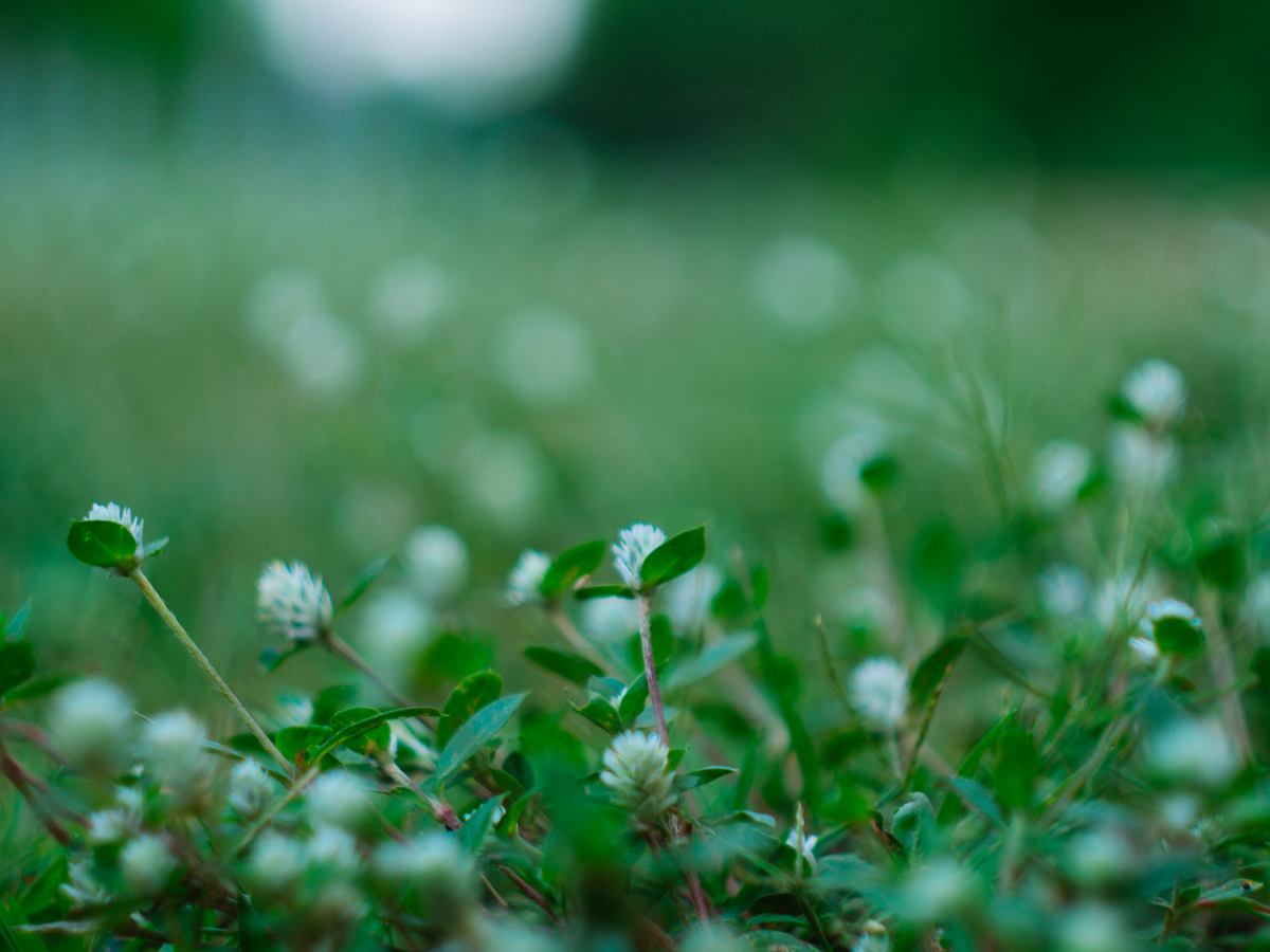 春天代表什么?为什么喜欢他? 春天代表什么?为什么喜欢他?