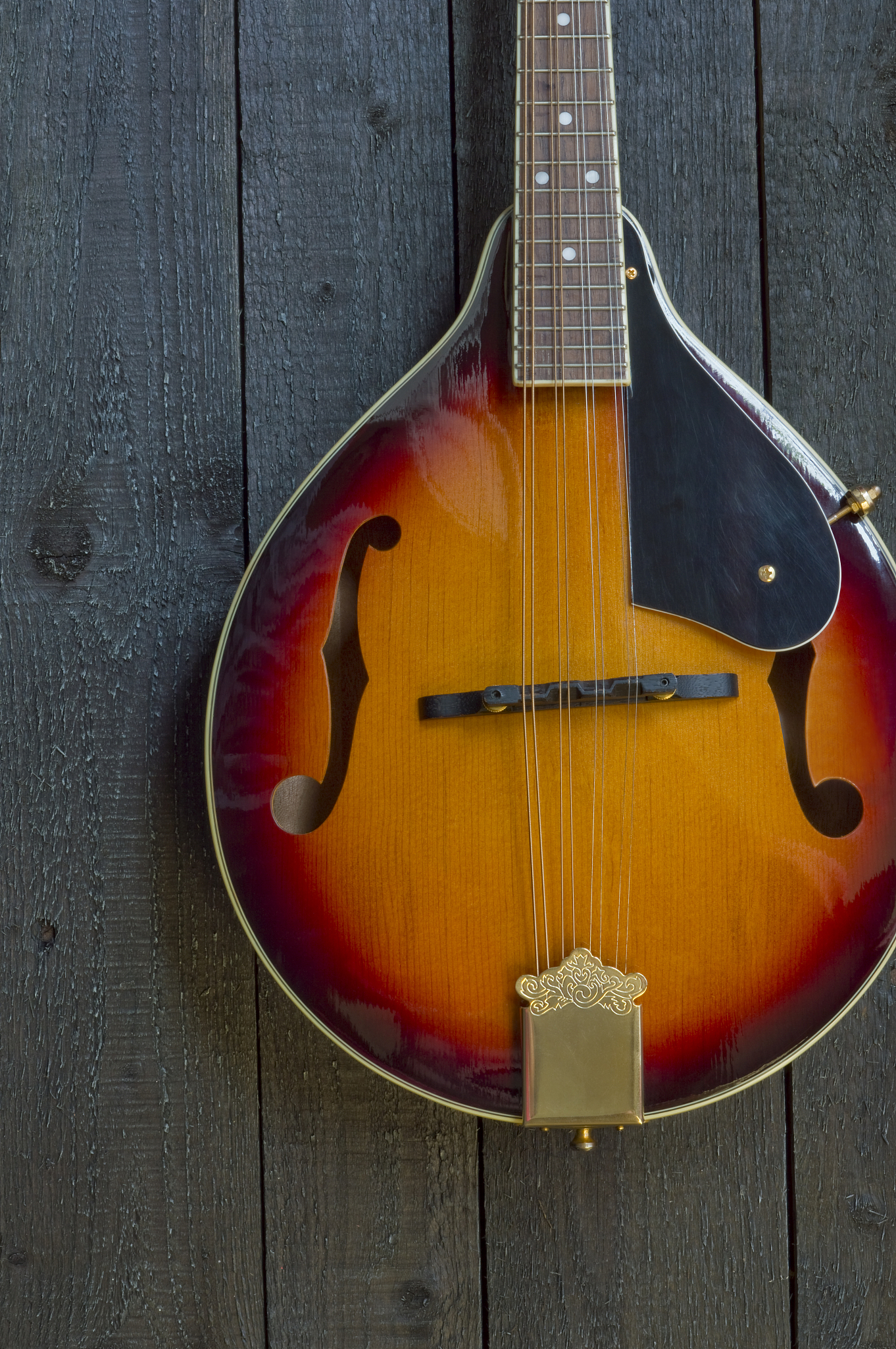 杨凌中等职业学校2021年招生专业有哪些