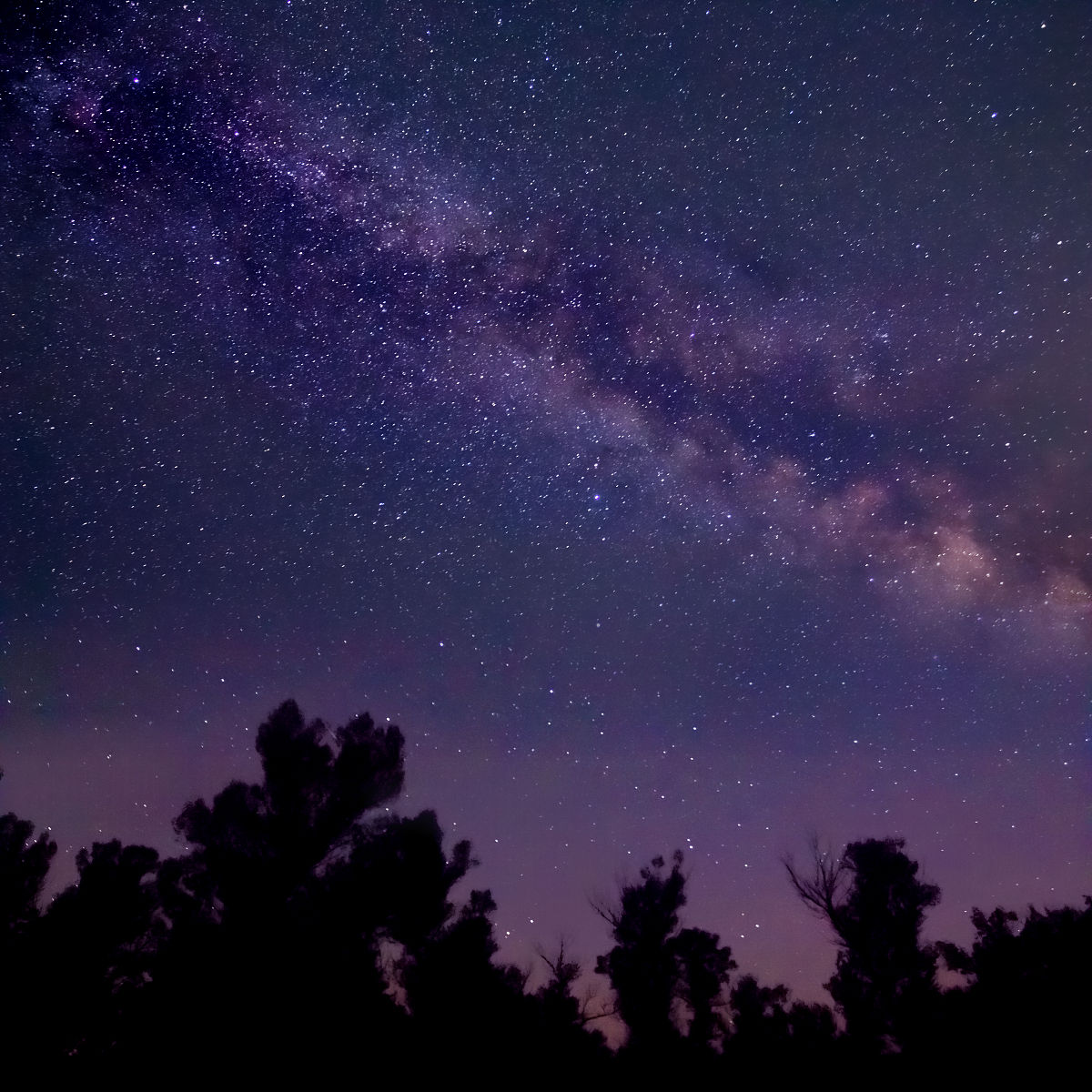 论述重庆市森林资源减少问题分析请结合重庆市2022年森林资源统计数据进行阐述不得少于800字。