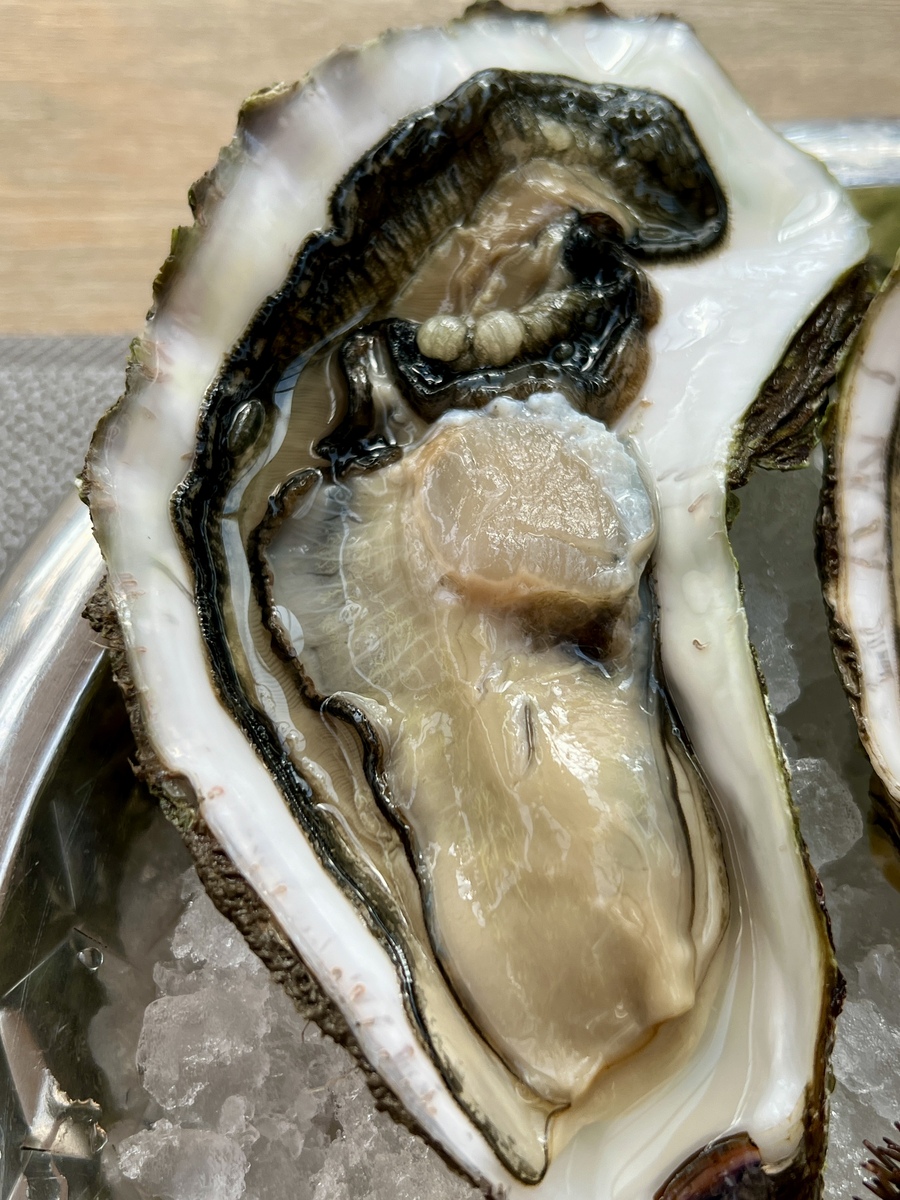 蚝：海上牛奶的营养价值 | 牡蛎的营养优势详解