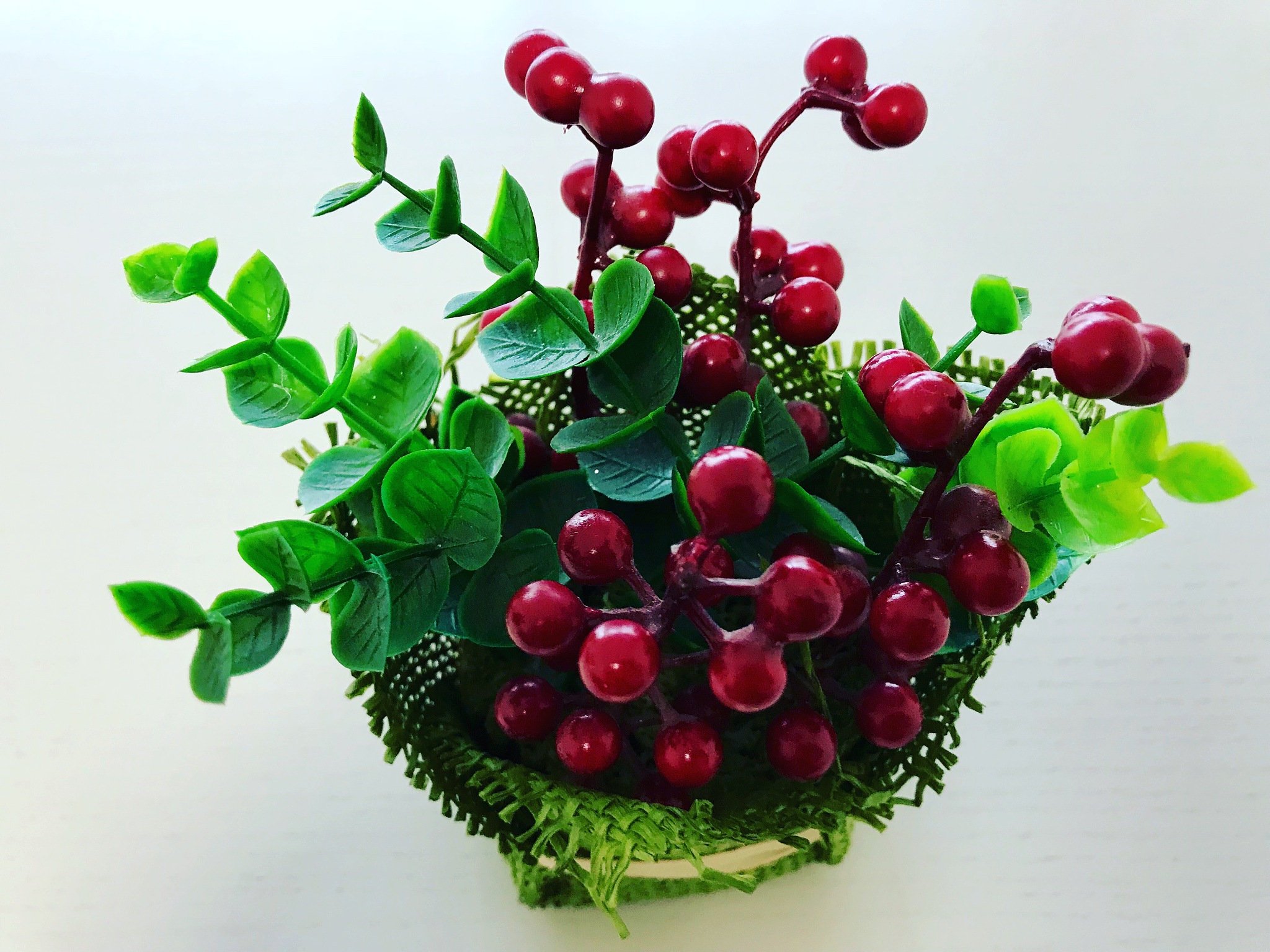 easter red and green flower christmas flower. autunm winter . ch
