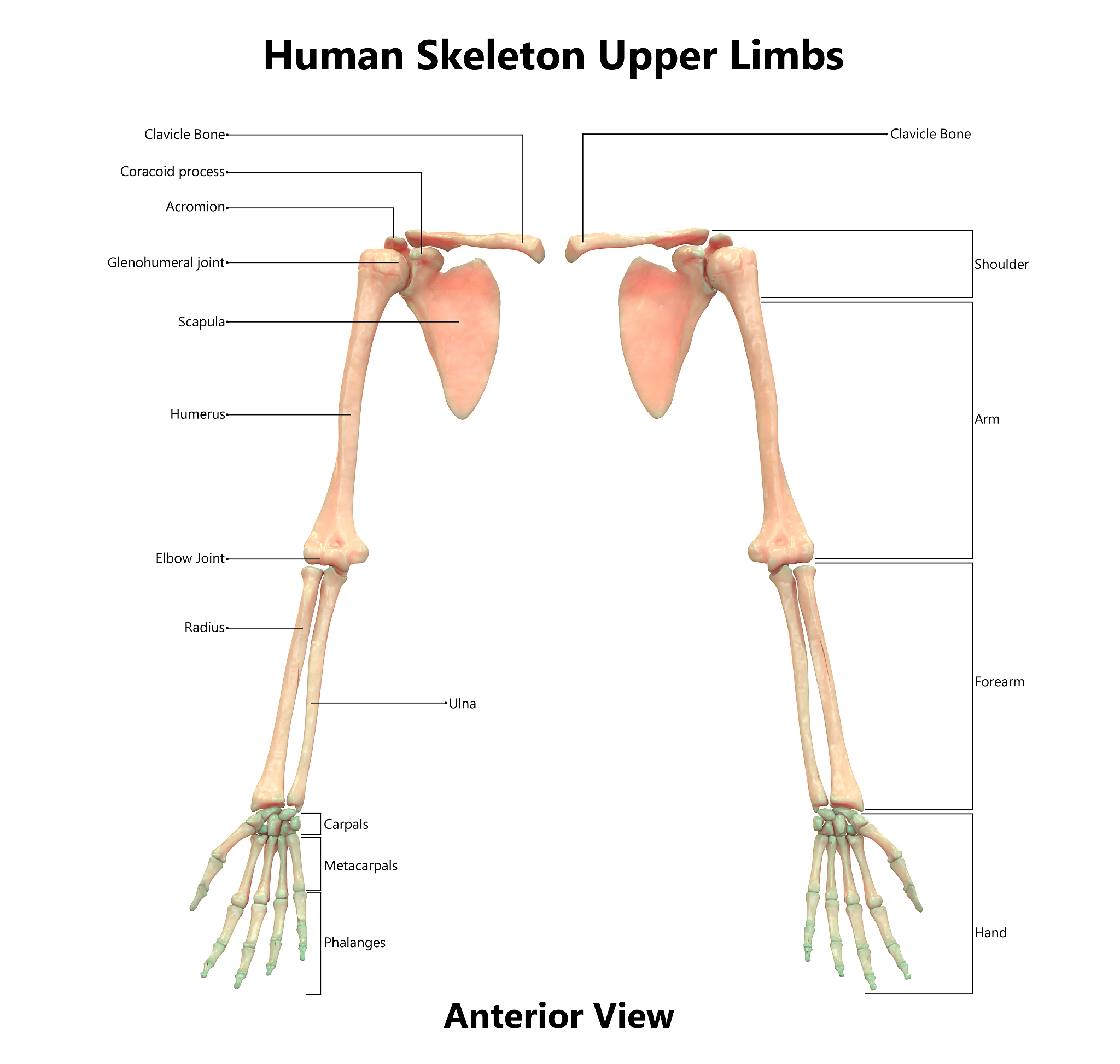 普安县职业教育中心农业机械化专业怎么样