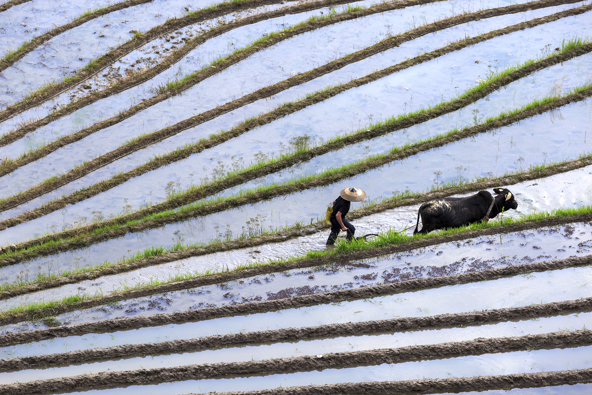 云南省曲靖农业学校2019年中考五年制招生报名电话