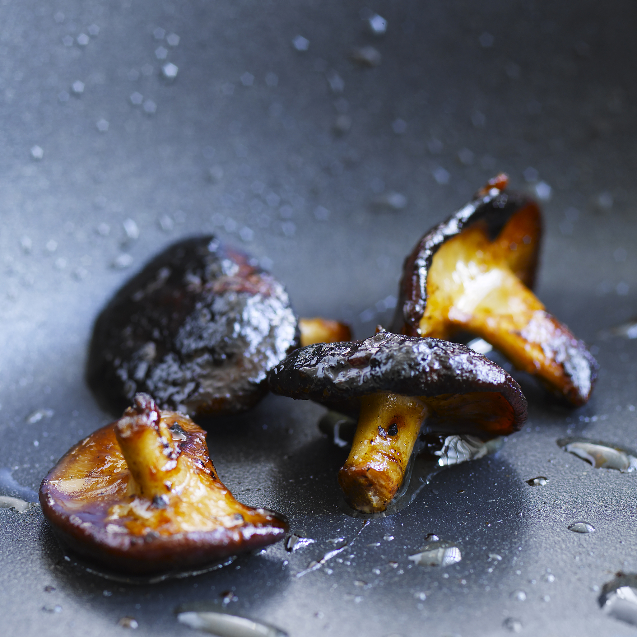 羊肚菌烤箱烧颗粒