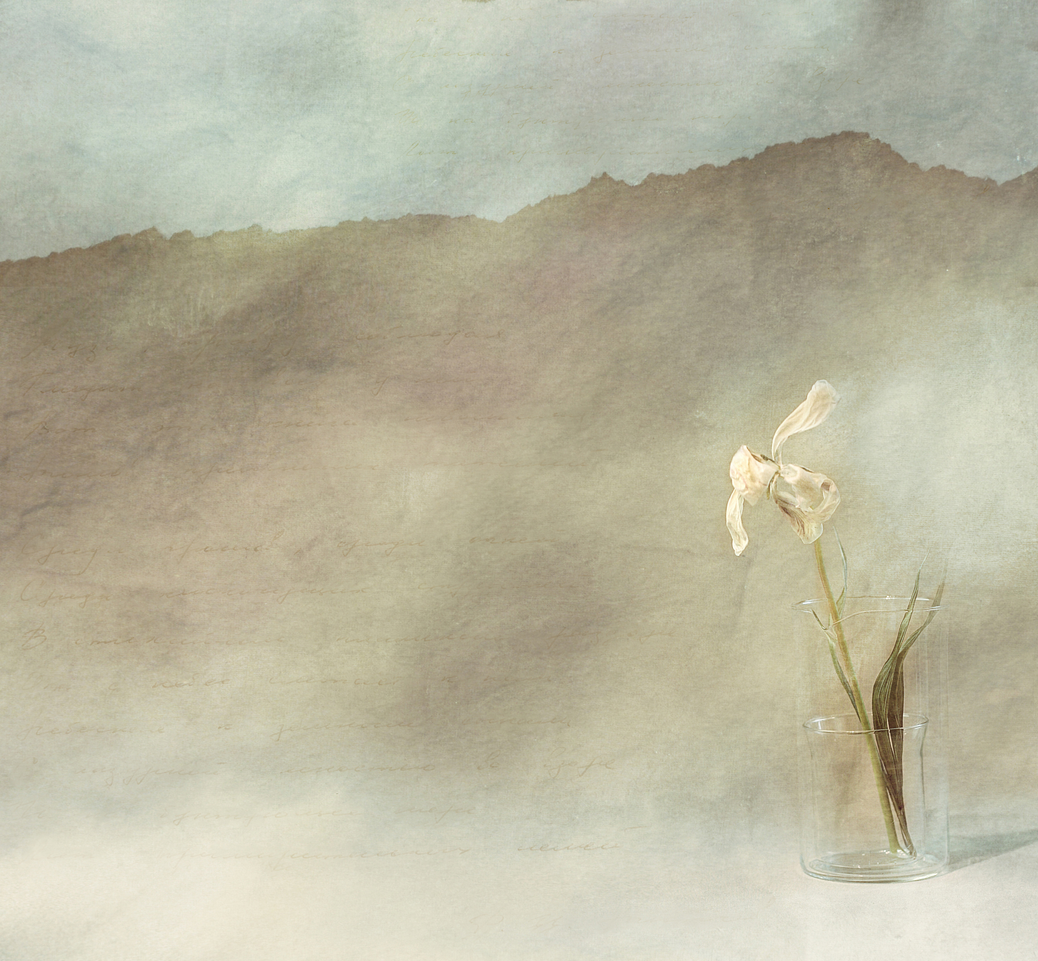 背景定义及应用：艺术、社会科学、故事背景 | 深入理解背景概念