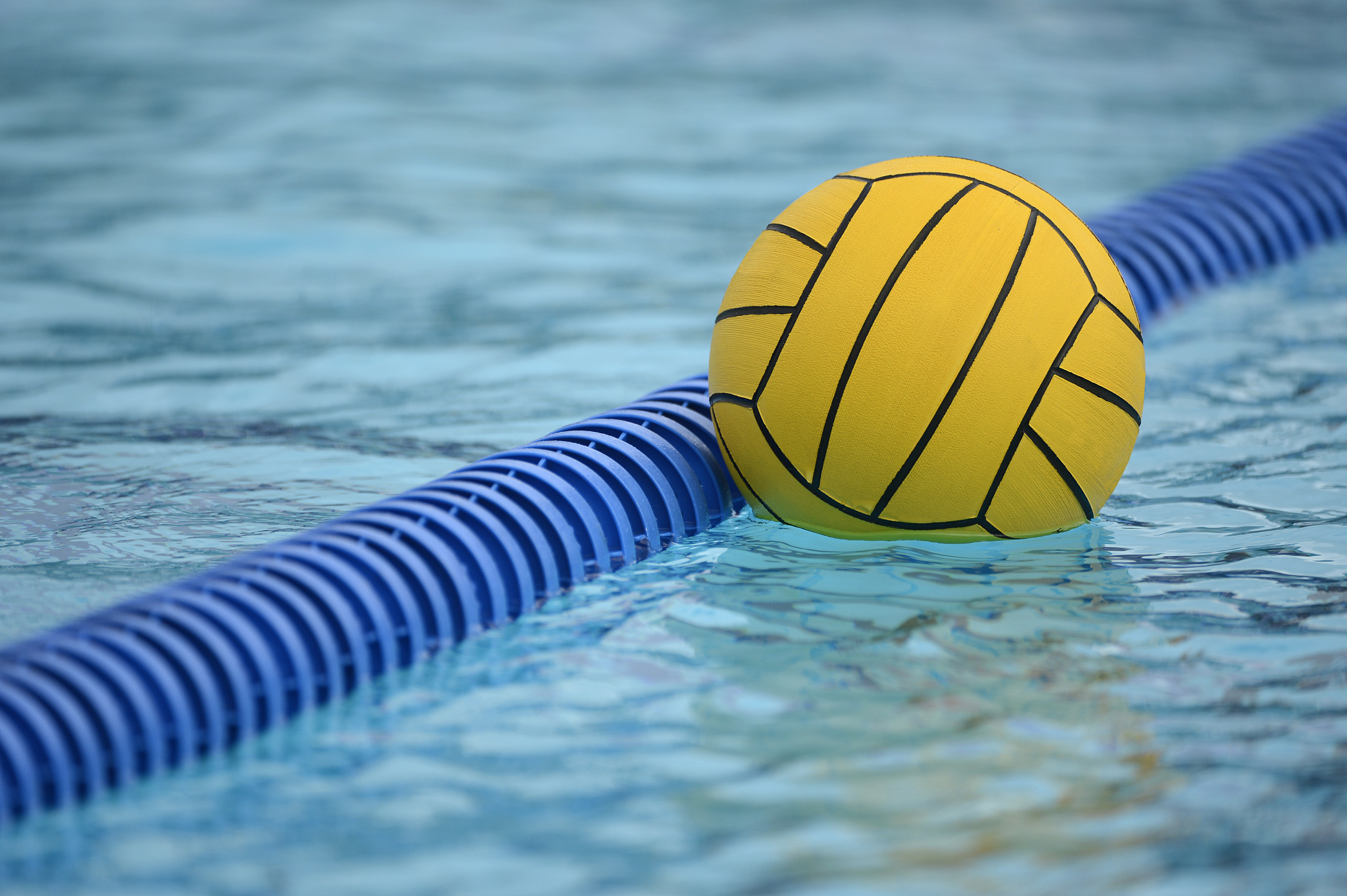 water polo ball