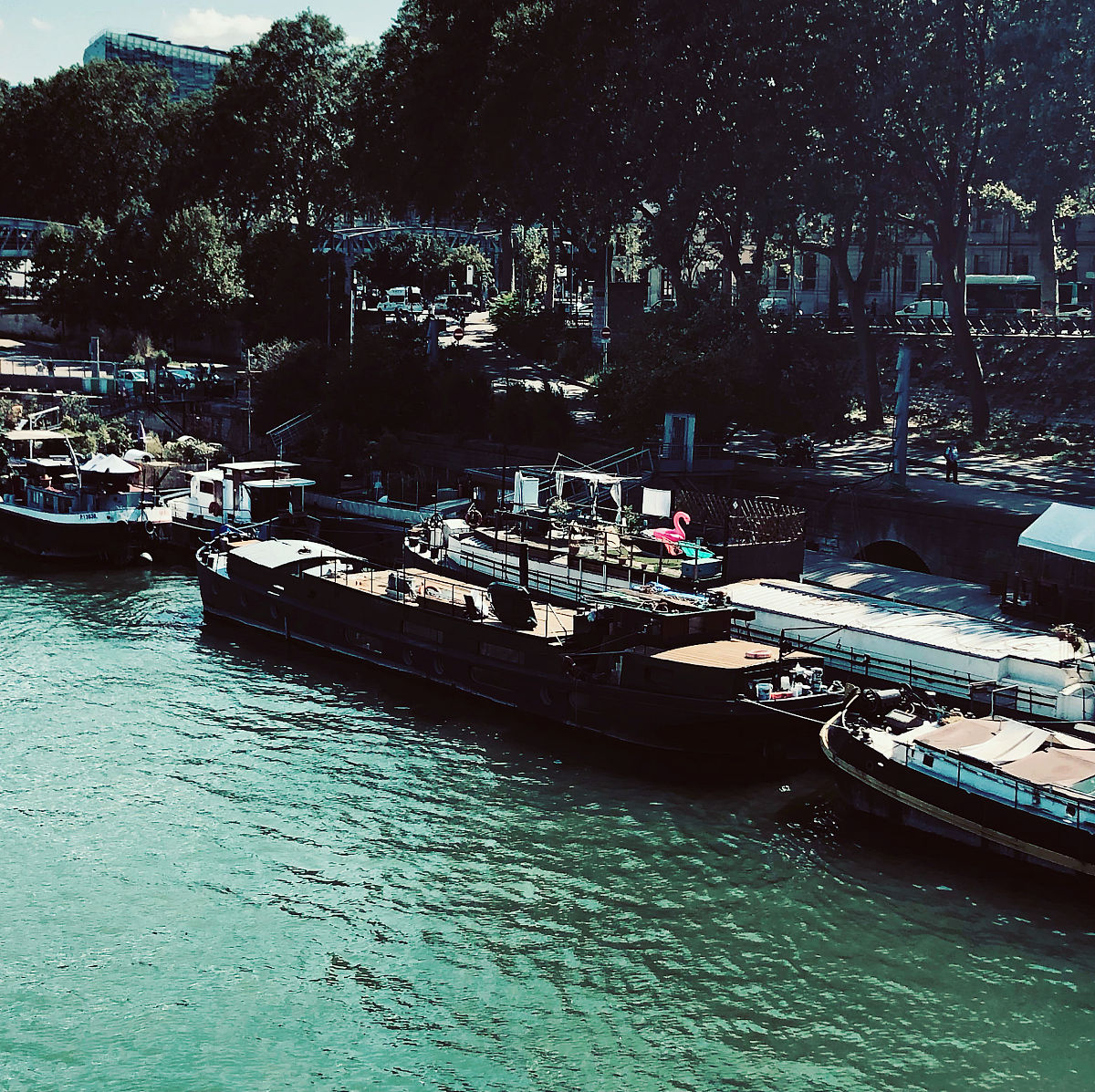 英文翻译具有学术风格多用高级词汇不要漏翻译：通过上述数据分析我们发现Catamarans的预测价格均偏高Monohulled Sailboats的价格基本不受影响。即香港SAR市场对双体帆船和单体帆船的区域影响是不一样的。Monohulled Sailboats受当地收入水平影响更小而Catamarans在高收入地区的价格会偏高。这是因为Catamarans通常比Monohulled Sailbo