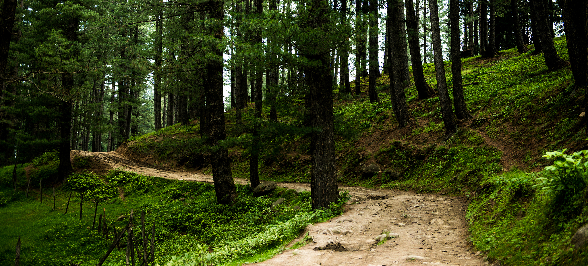 SM 的含义解析：从性倾向到娱乐公司，一文揭秘 SM 的多种含义