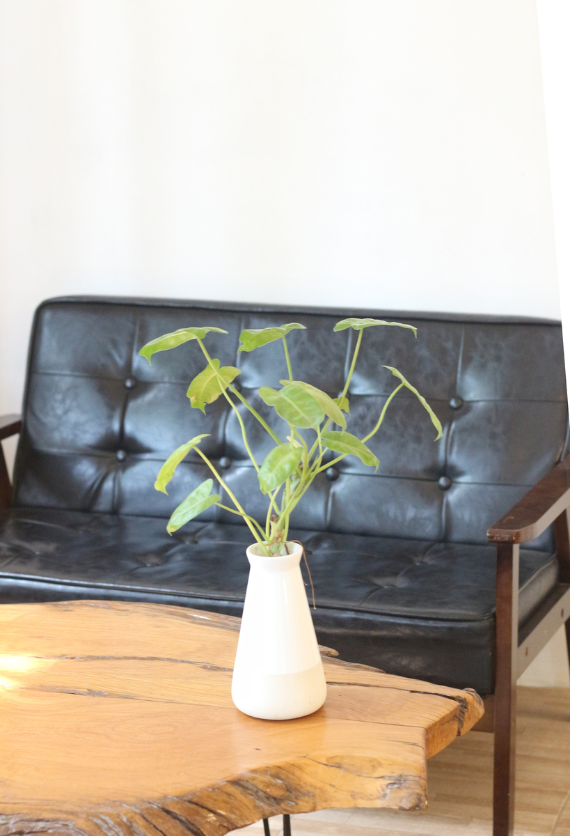 花朵香炉和花茎空气清新器：美观实用，净化空间