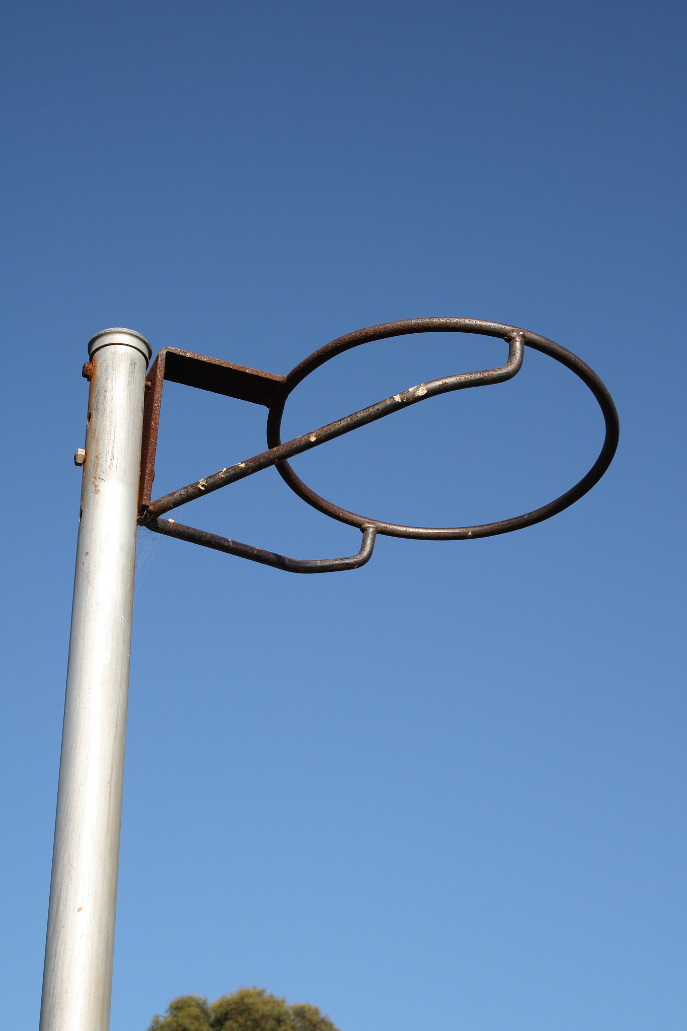 netball ring