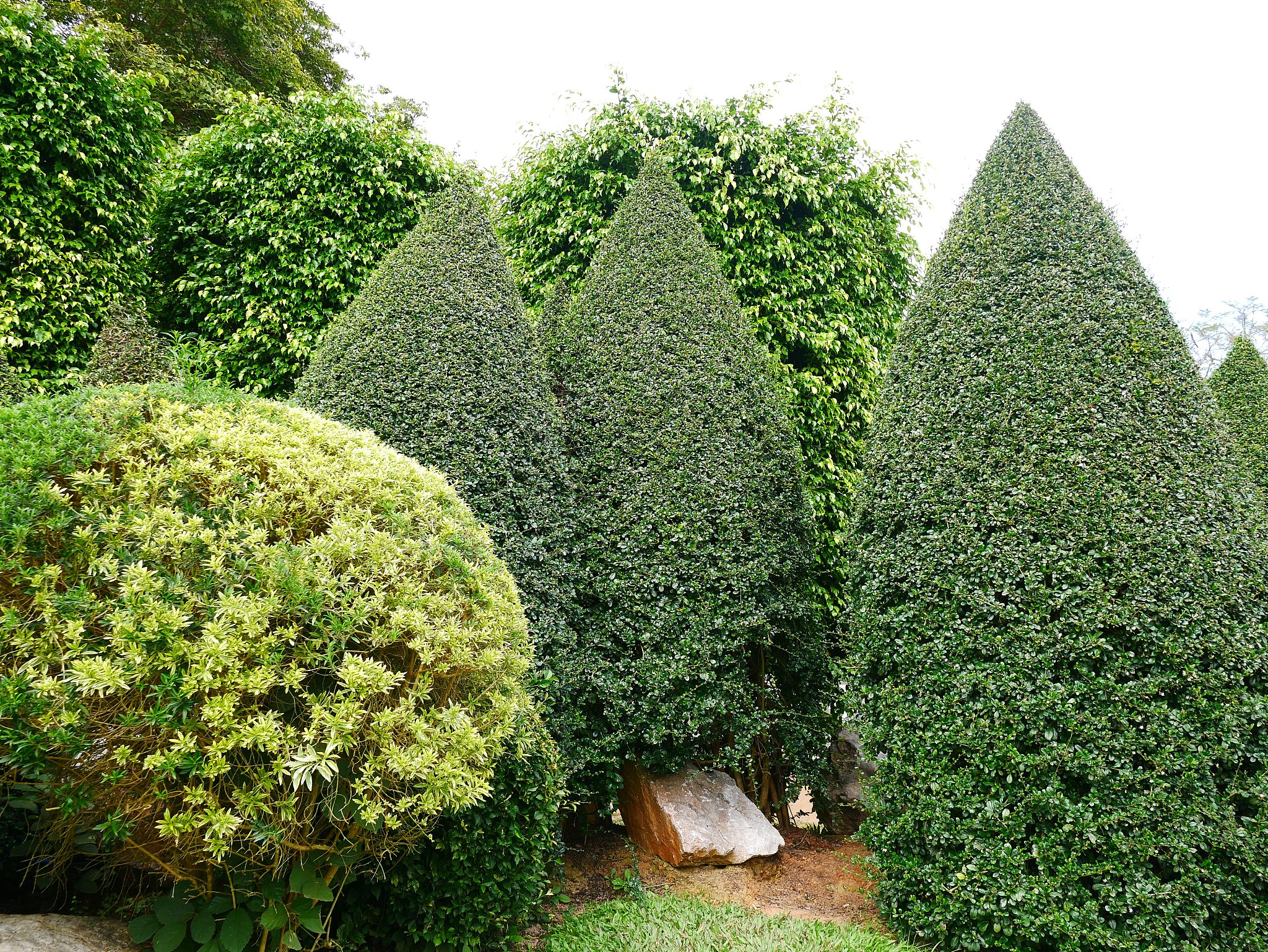 帮生成某地区的共生、互惠、竞争、入侵植物的数据集 帮生成某地区的共生、互惠、竞争、入侵植物的数据集