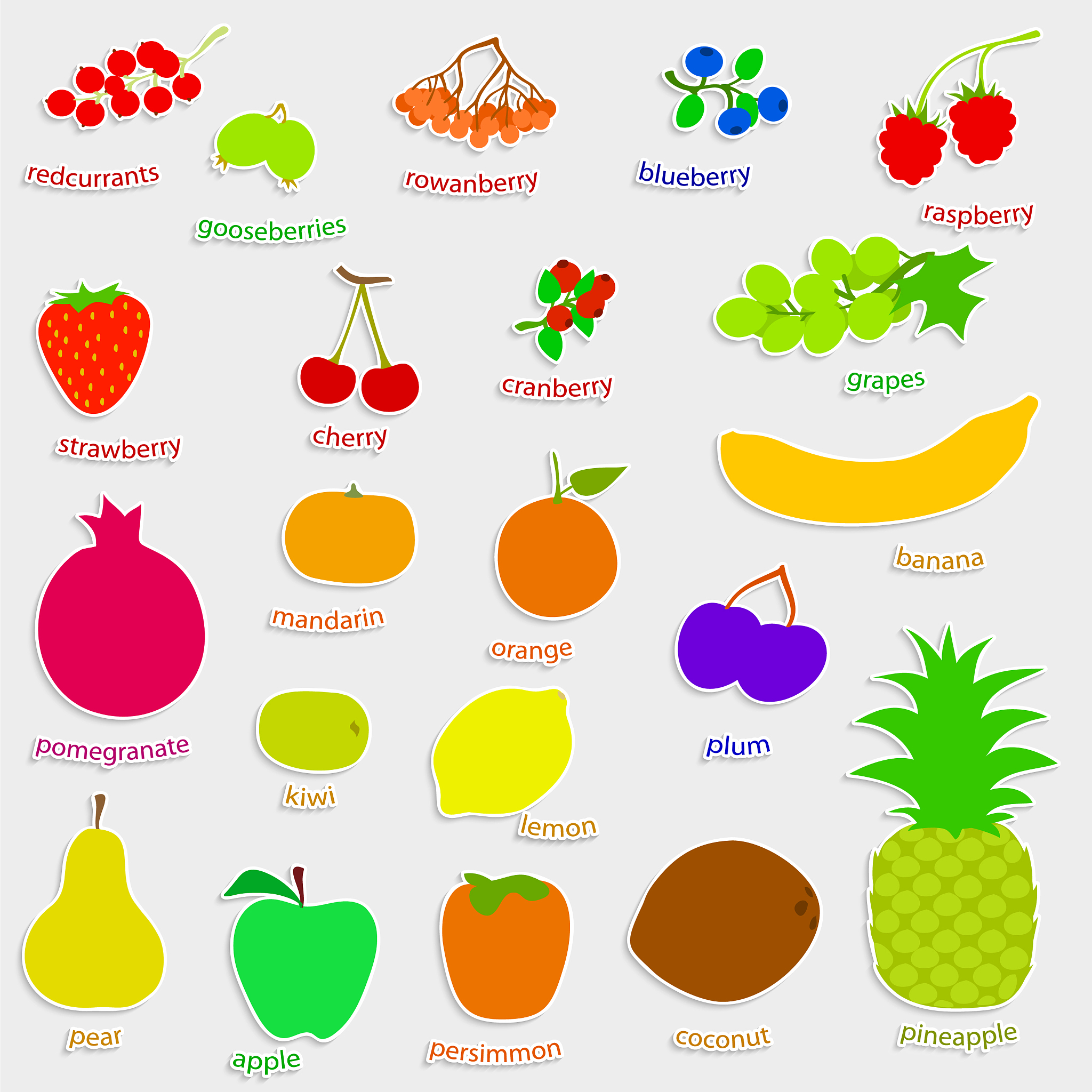 20种水果名英文。