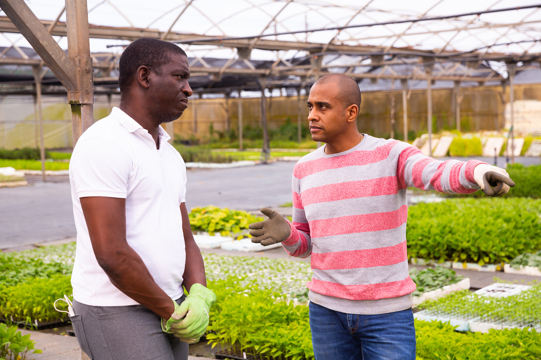 辽宁农业职业技术学院农产品质量检测专业就业方向有哪些