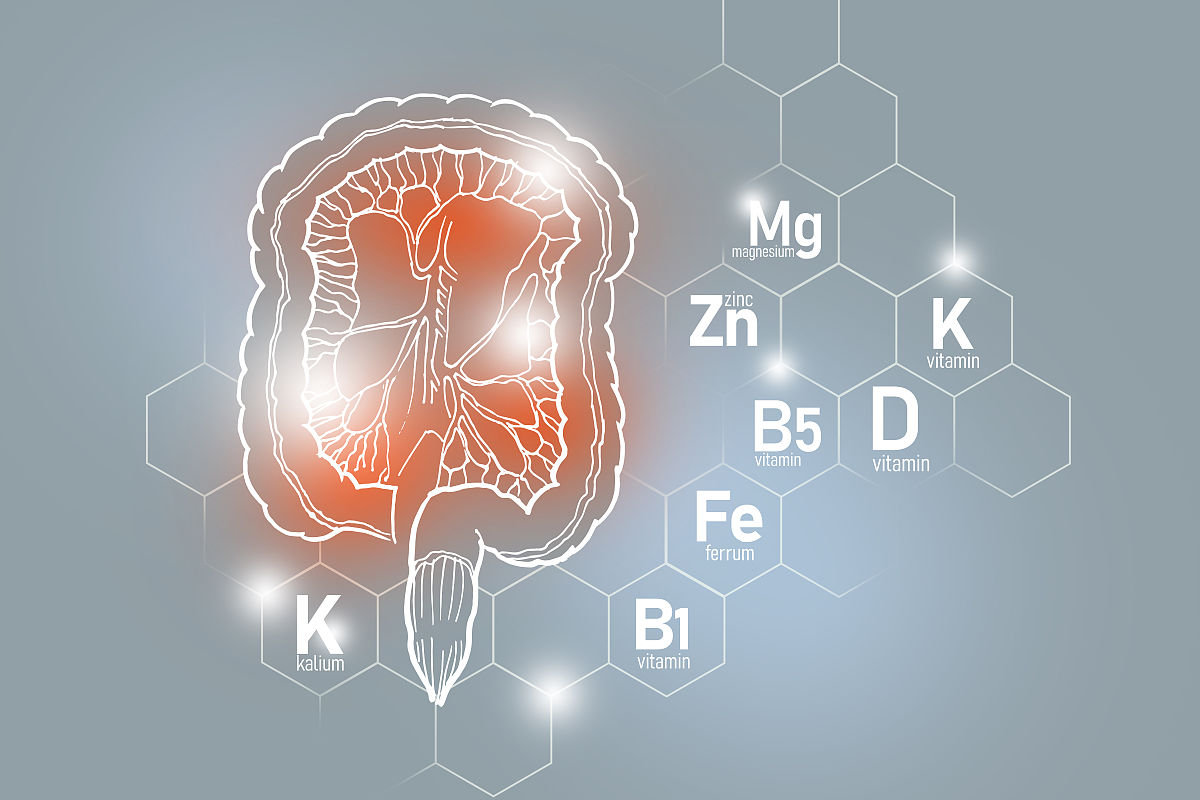 巴中中专学校专业大全：机械、电子、建筑、旅游、医学等热门专业一览