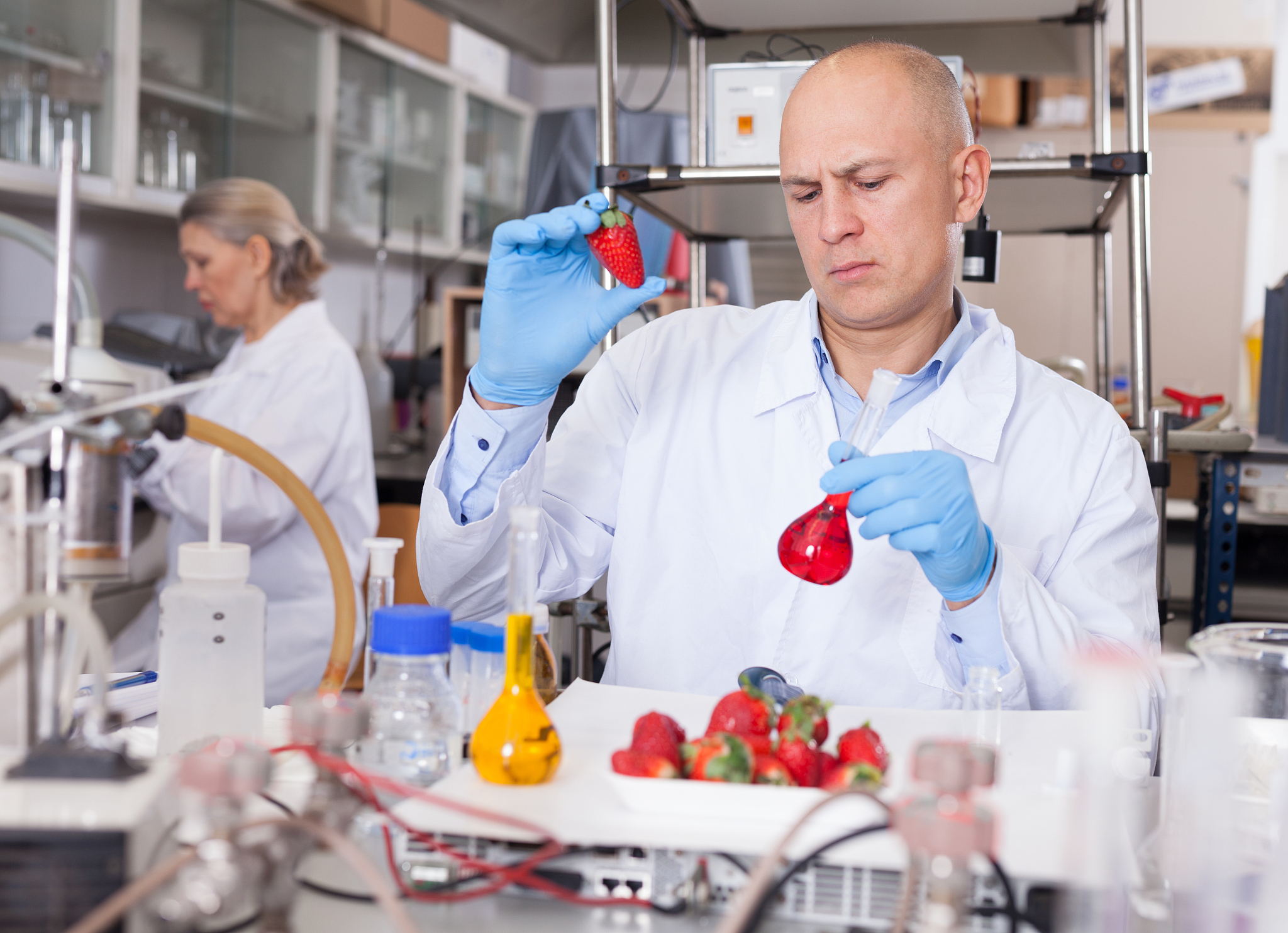 JOURNAL OF THE SCIENCE OF FOOD AND AGRICULTURE的期刊研究范围详细介绍中文