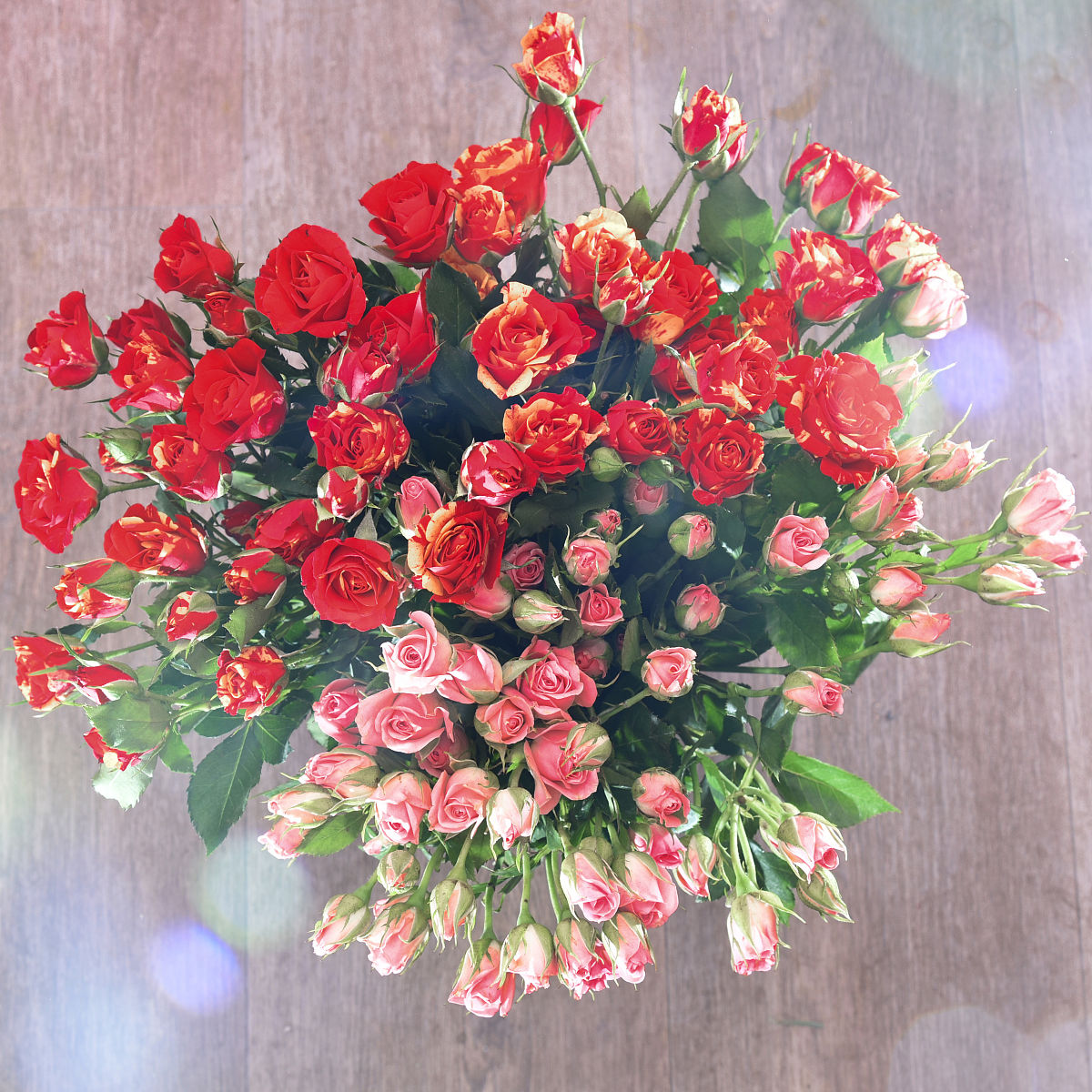 鲜花怎么养可以保持久一点需要放保鲜剂吗2000字