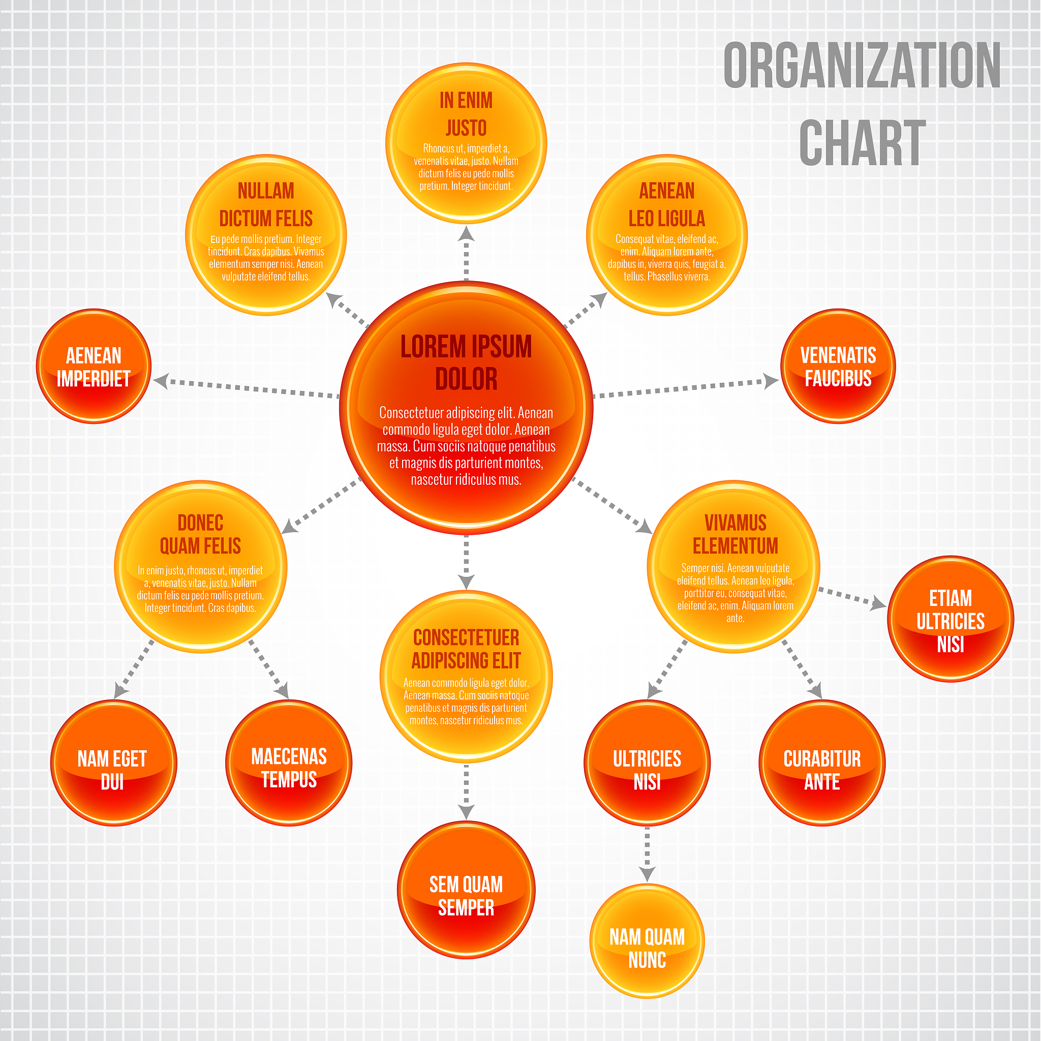 好想你公司发展战略保障措施：制度、人才、文化和技术