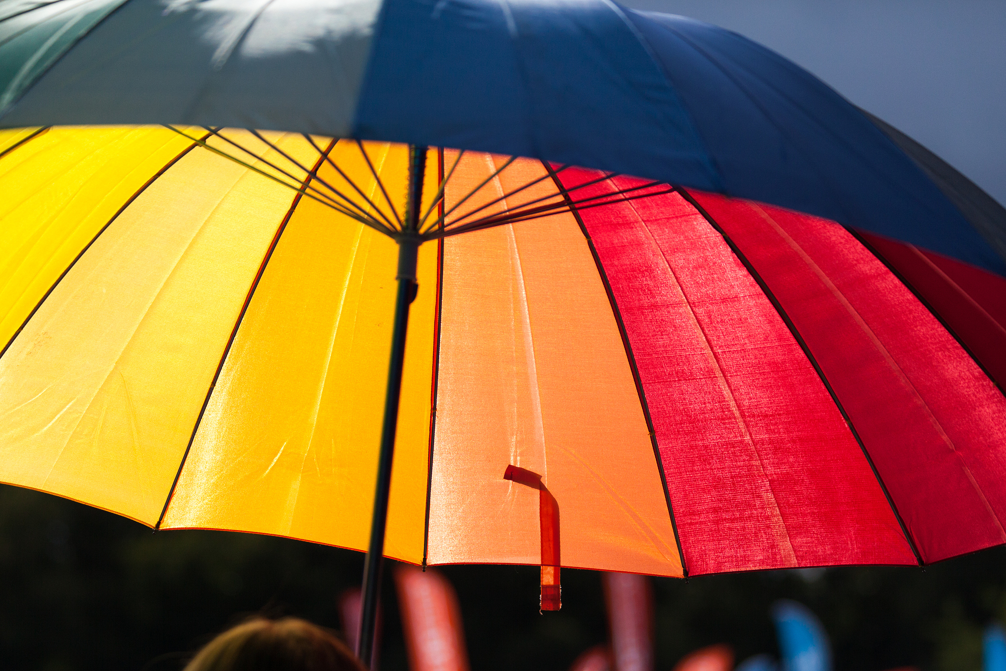 colorful umbrella close-up
