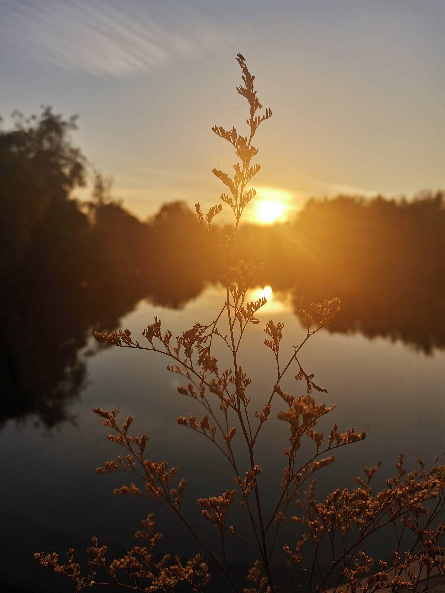 光影之美：风景摄影中的技巧与应用
