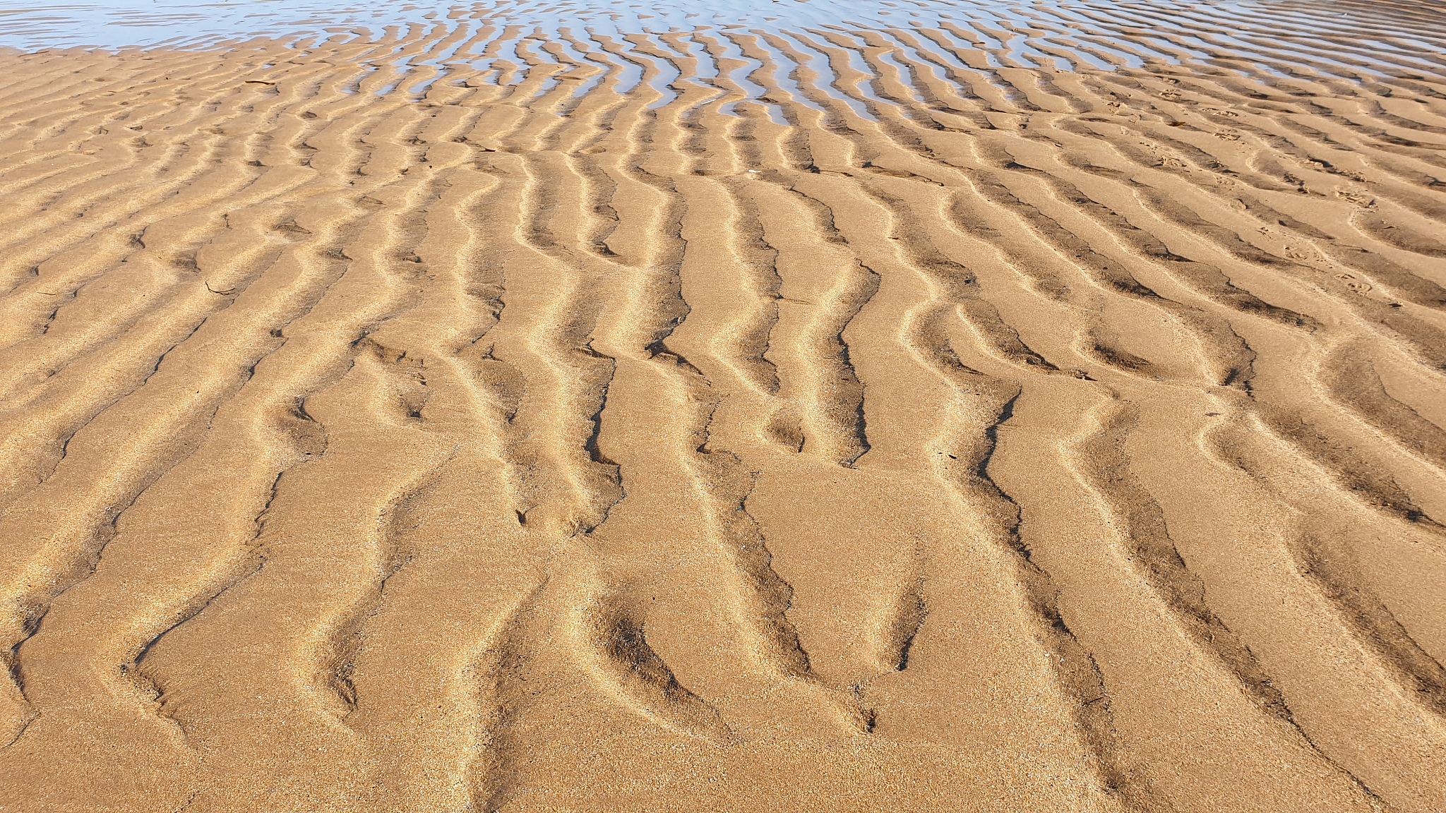 ridges in sand