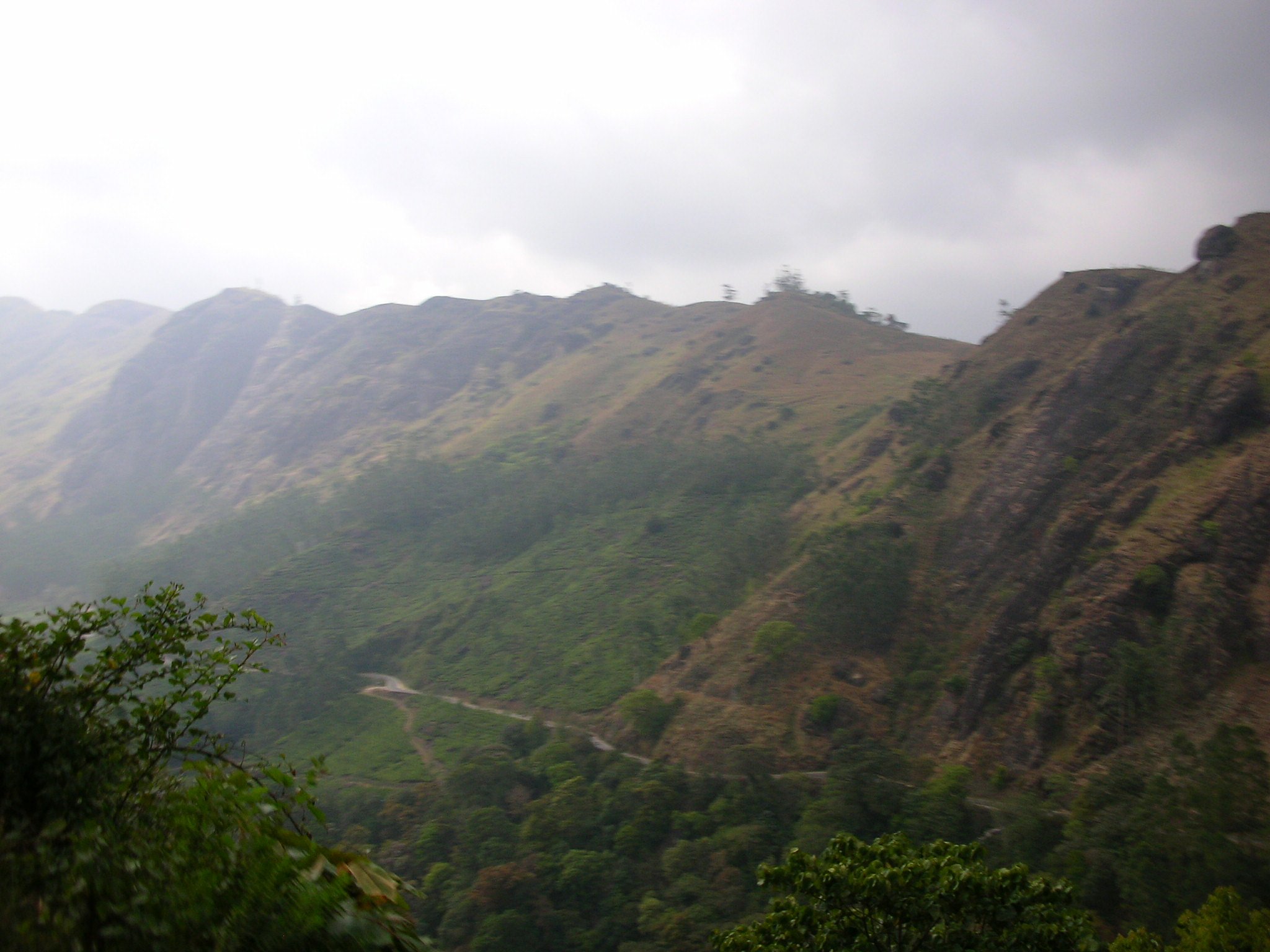 梧州殿村水口大山顶是什么山