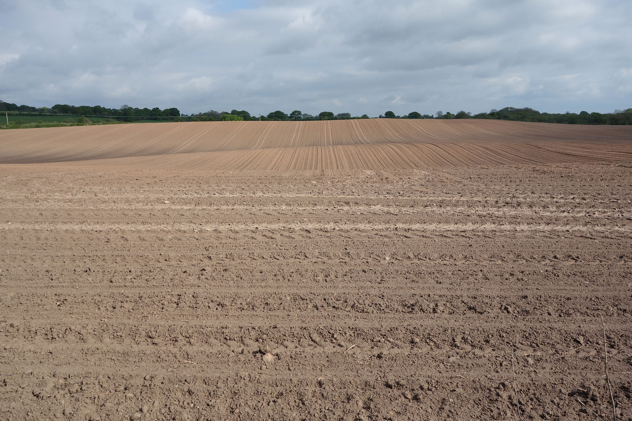arable field