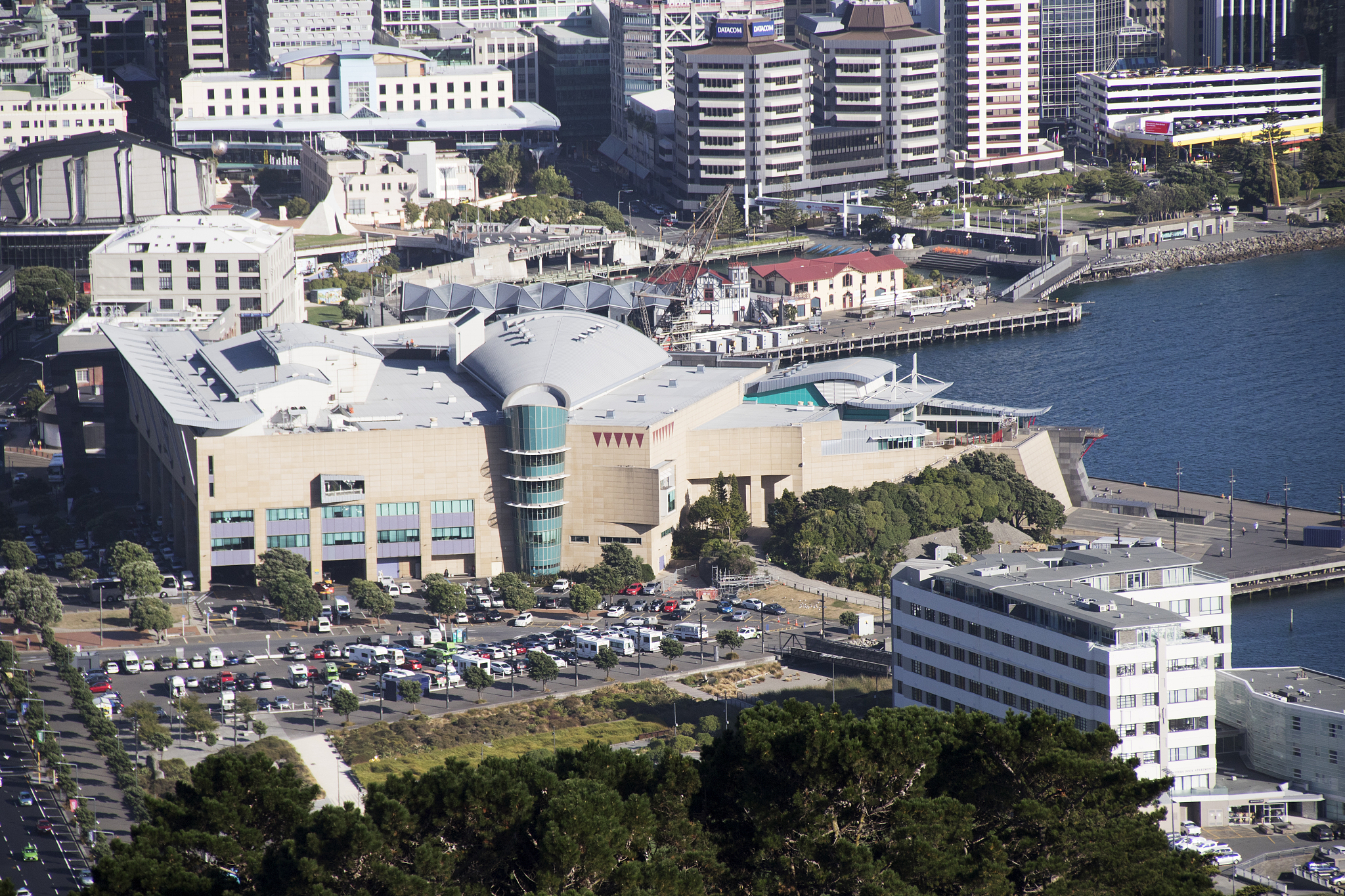 te papa museum viewed from mt. victoria
