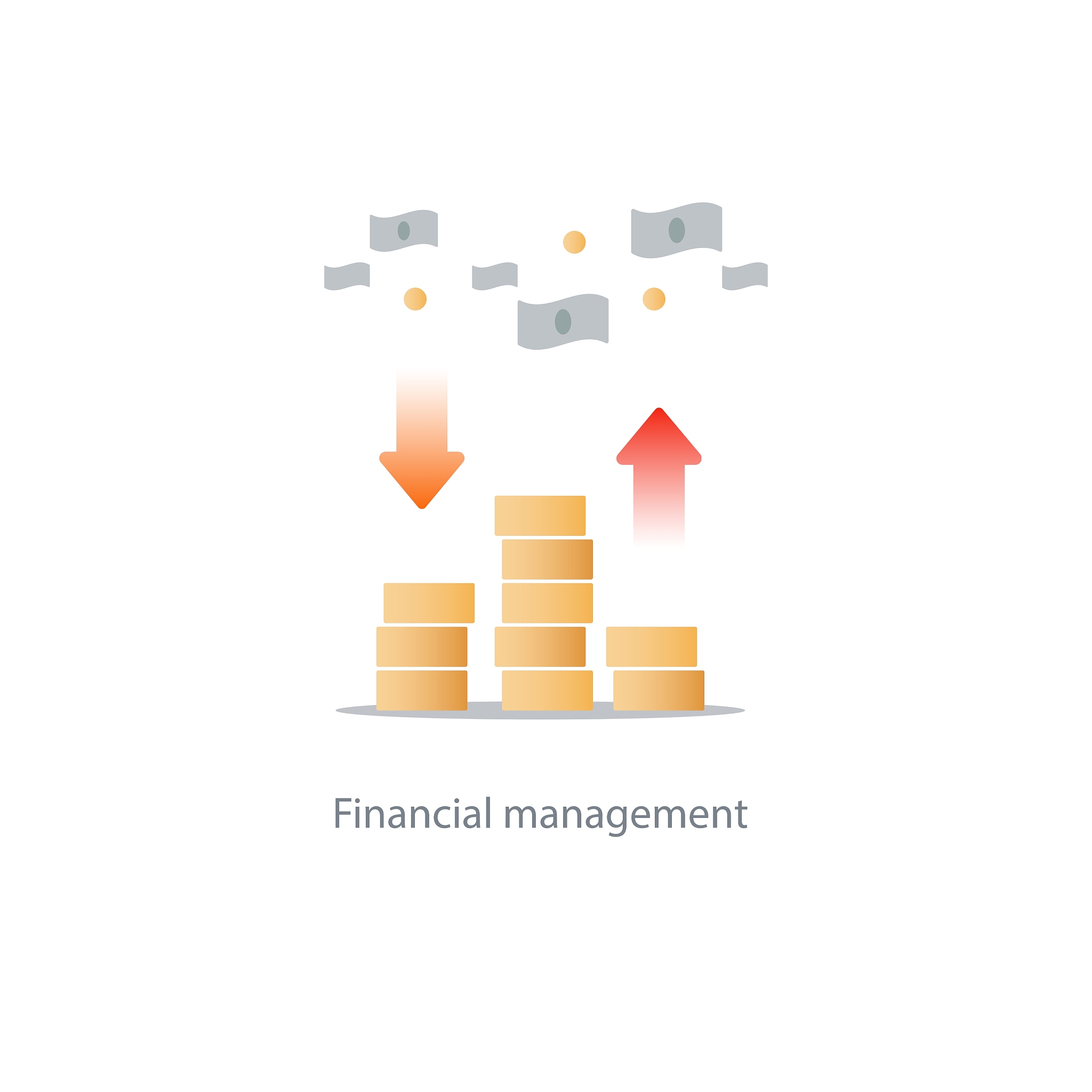 finances and investment management budget planning