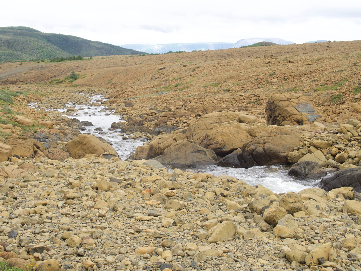 高原反应是什么