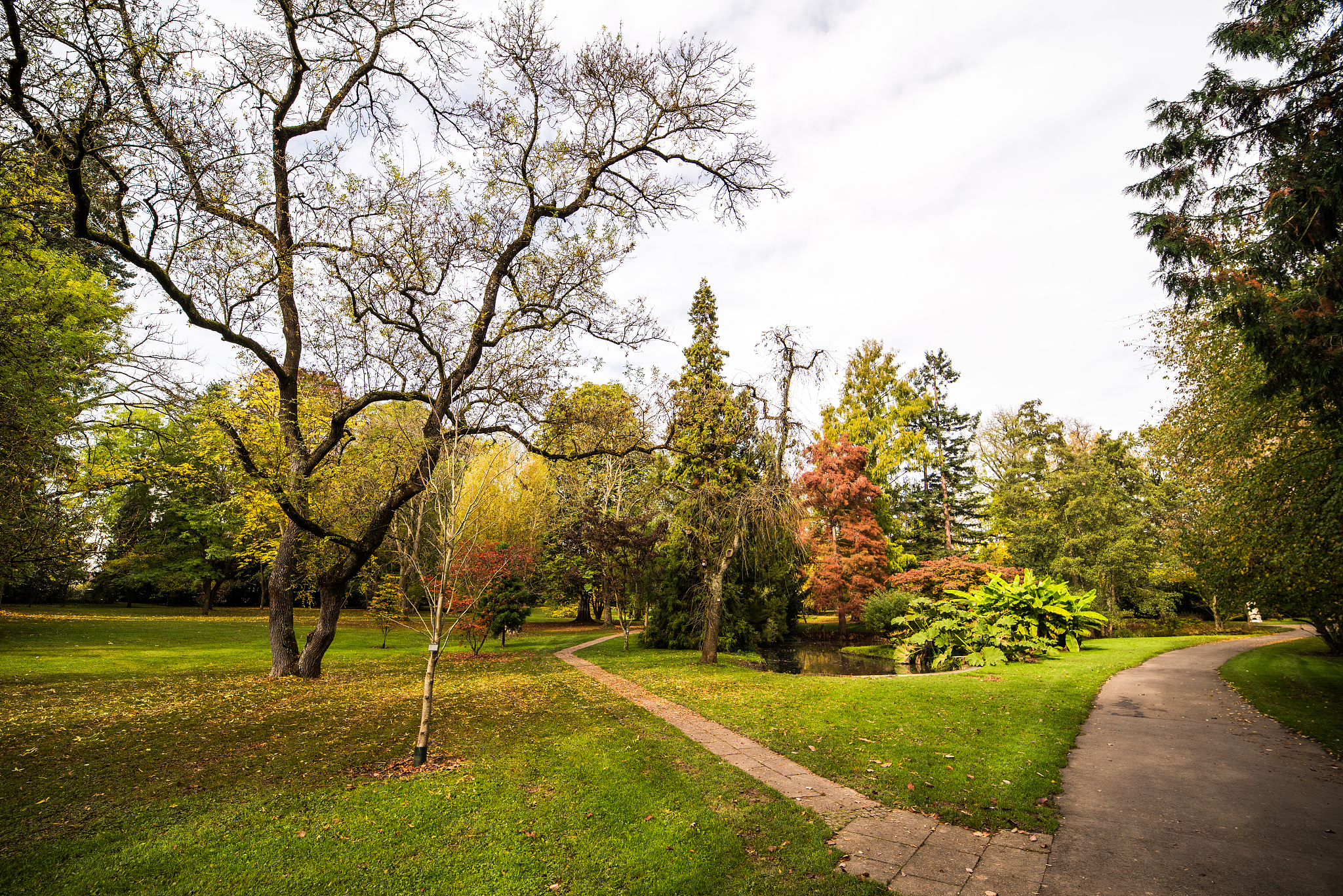 贵州省林业学校2019年园林技术专业招生简介
