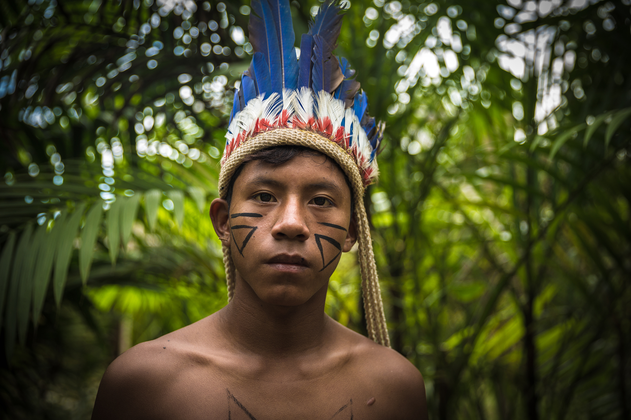 indigenous man from tupi guarani tribe in the jungle, brazil