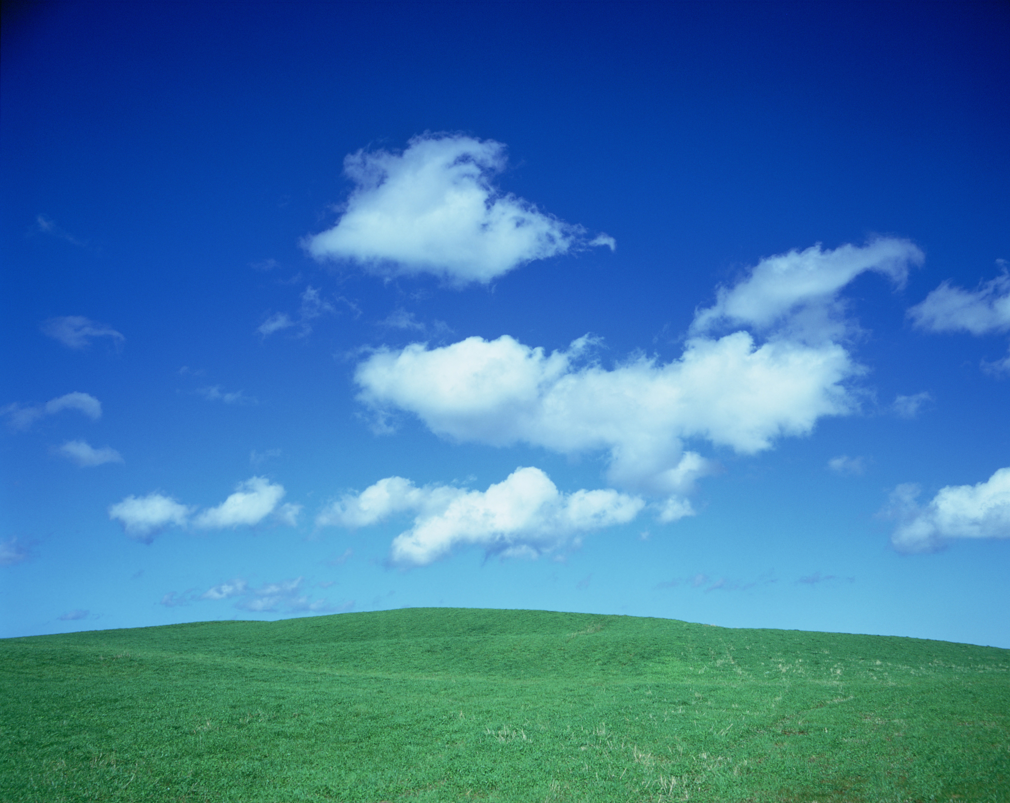 如何使用AI工具将图片背景变透明