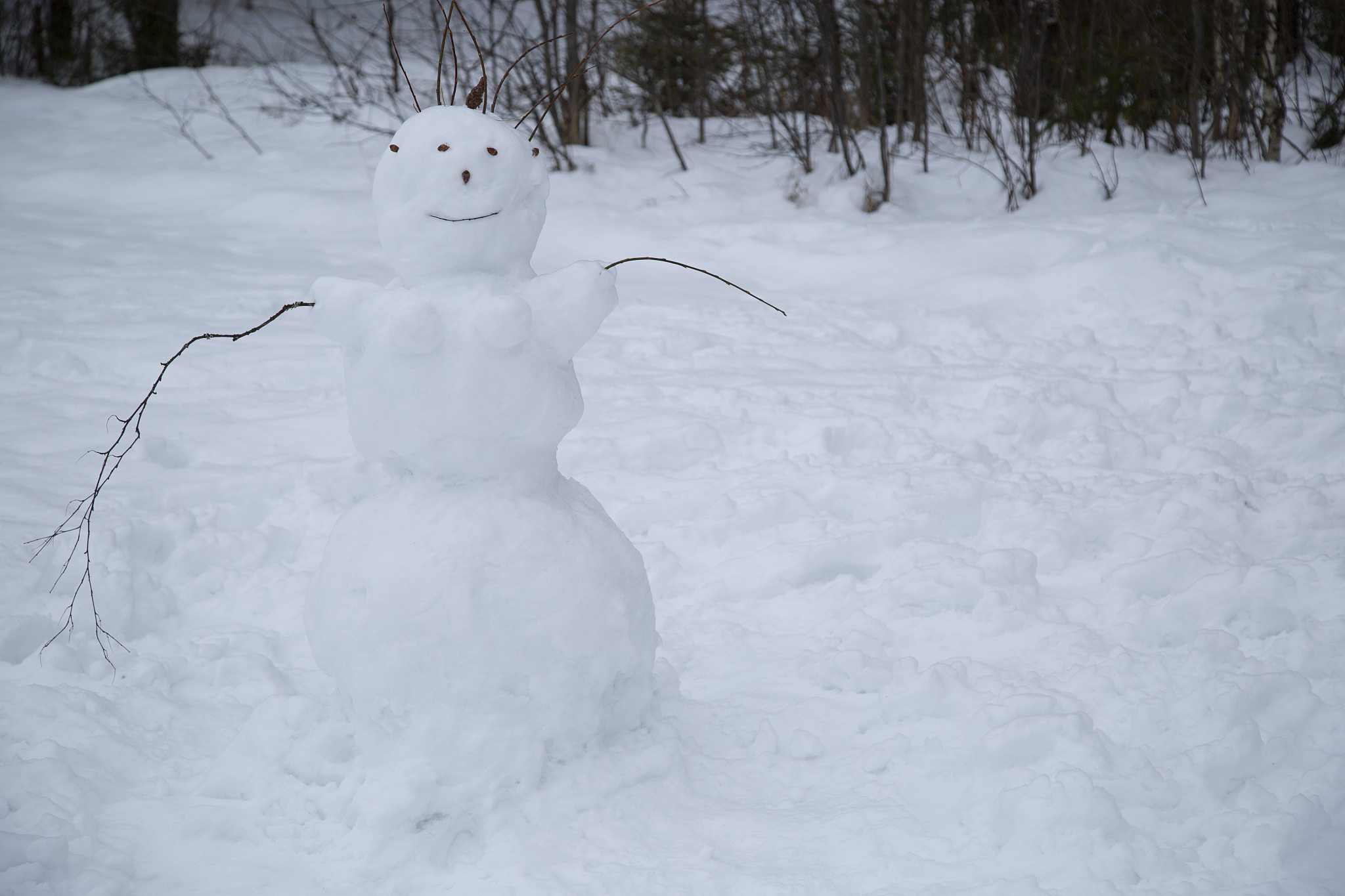请帮我寻找有关于描写人物站在雪中的样子