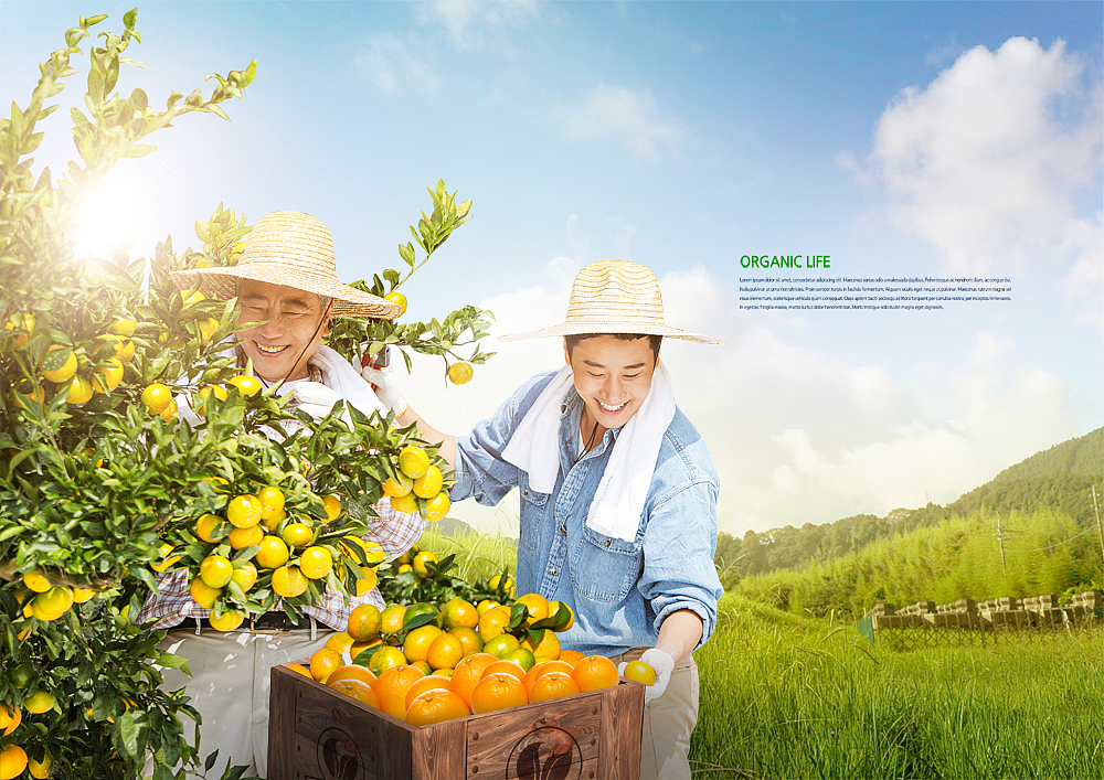 曲靖农业学校市场营销专业如何好学吗