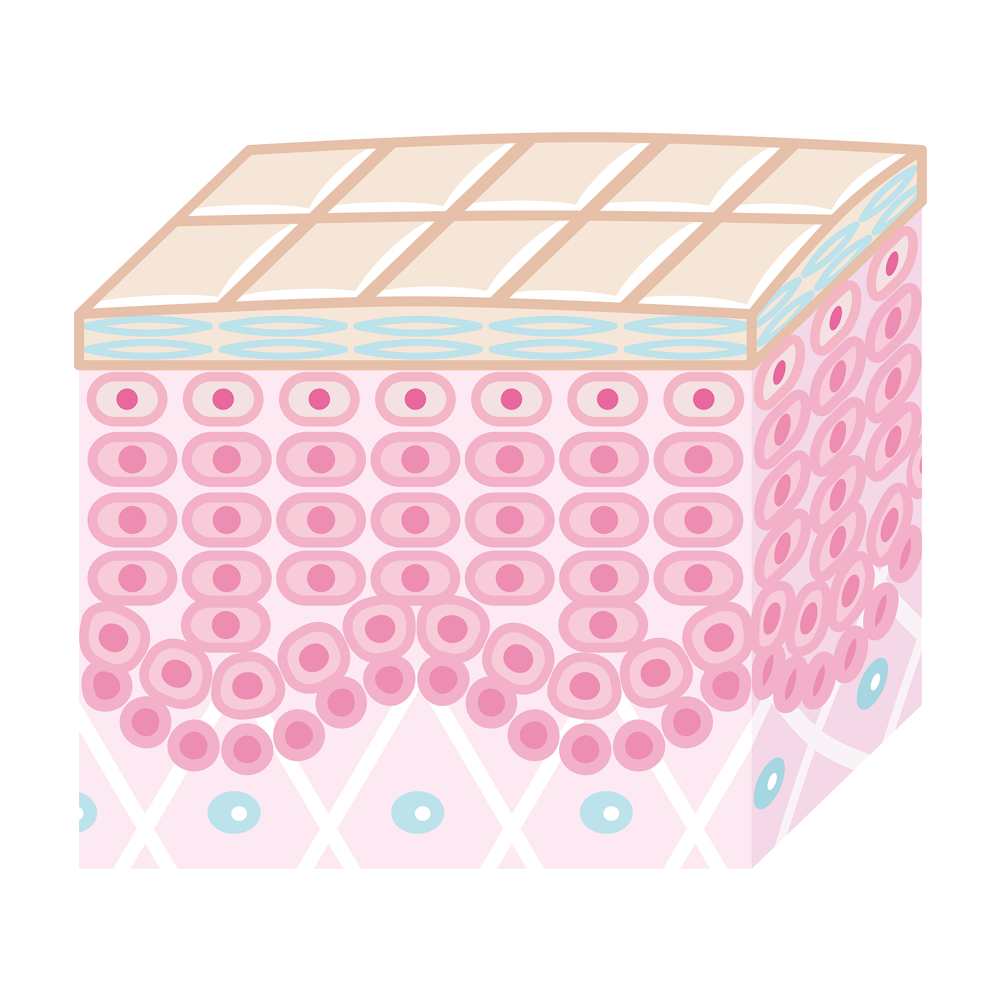 黔东南卫校2023年排名及录取分数线【最新】